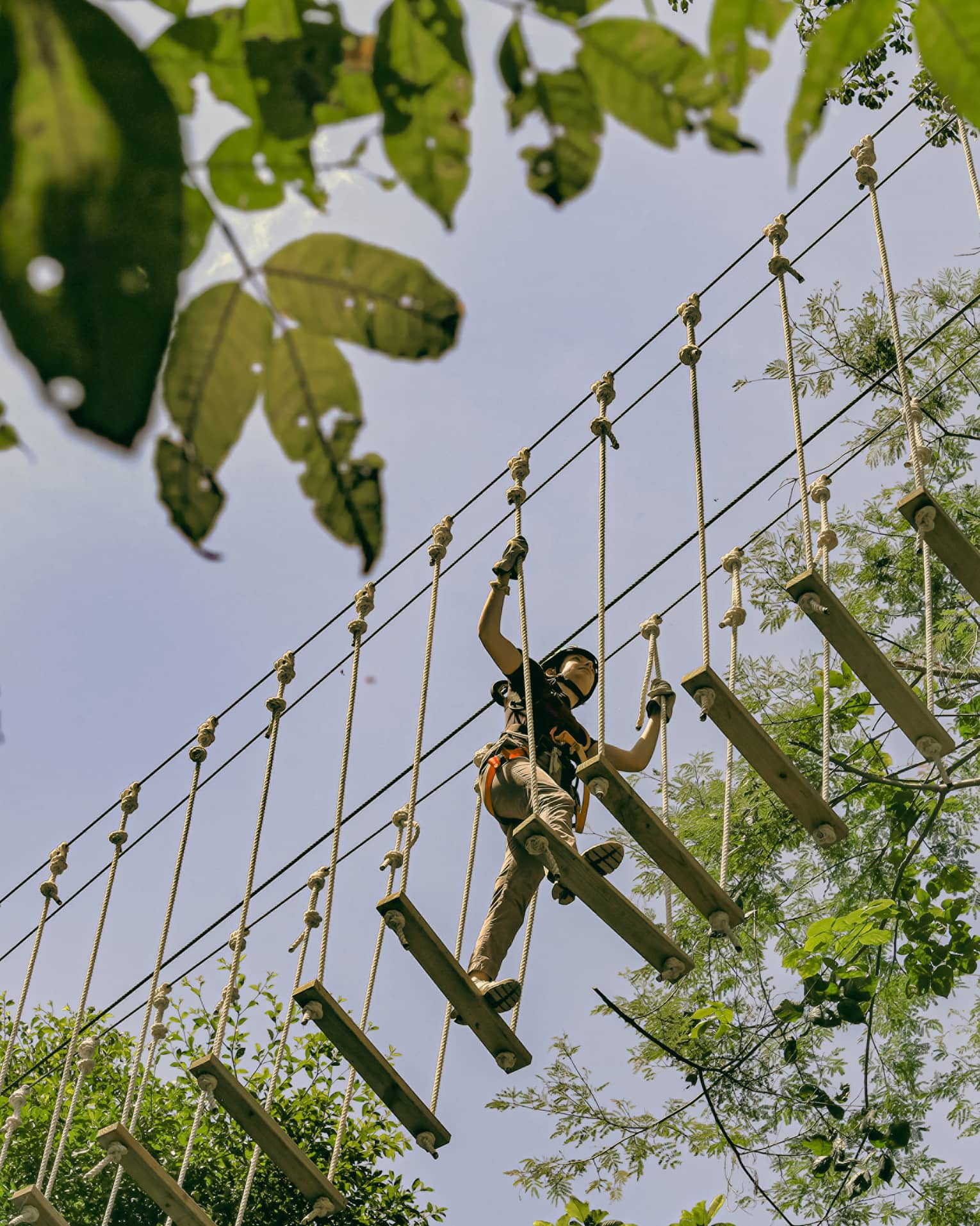 Canopy High Ropes Four Seasons Hotels and Resorts | Luxury Hotels | Four Seasons | Canopy ...