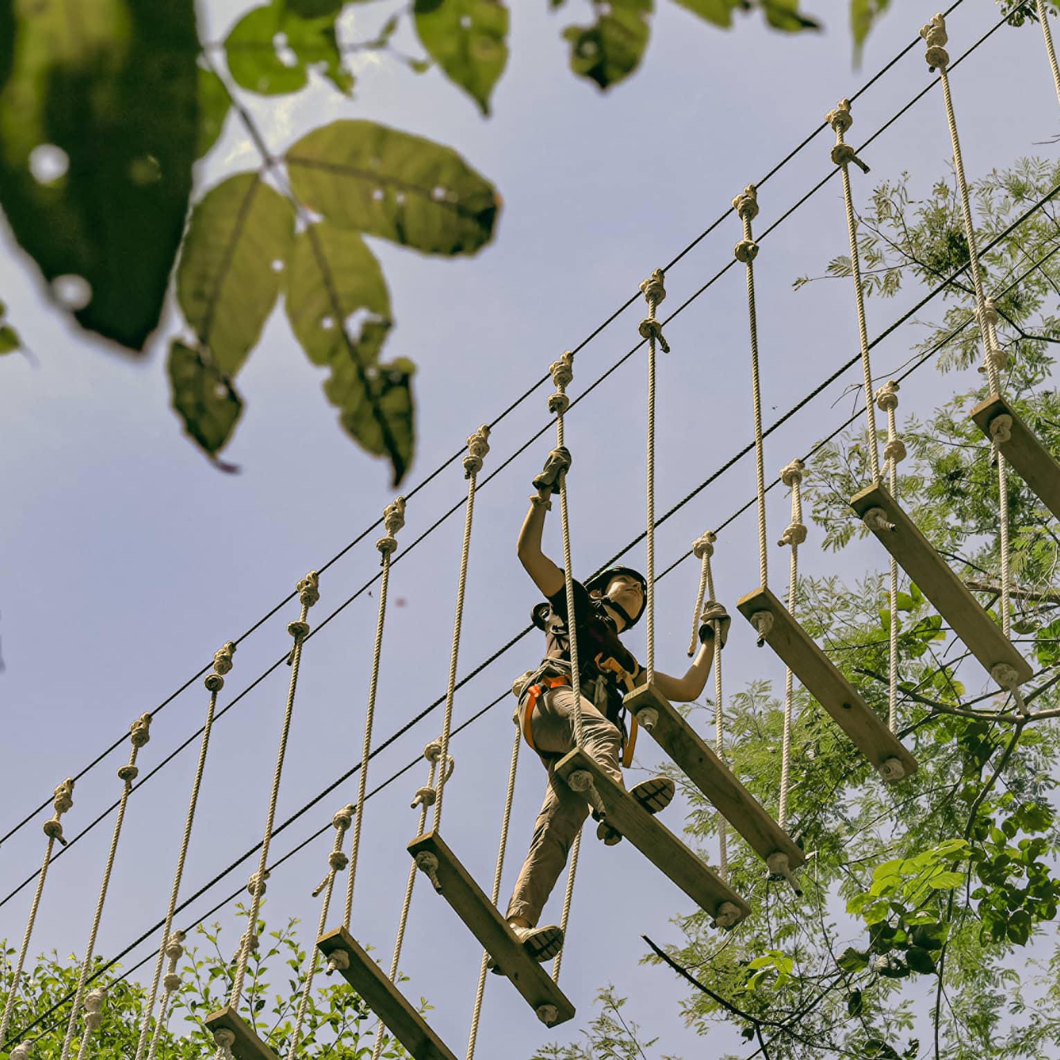Overhead, a person crosses a bridge of wood planks suspended by ropes high above the forest canopy, surrounded by trees.