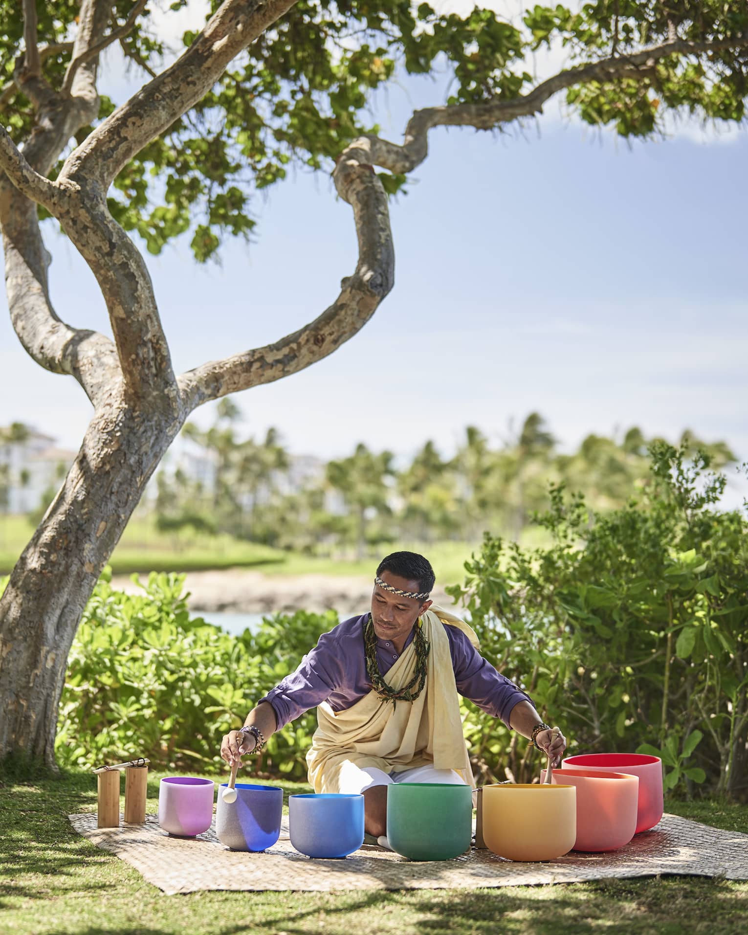 A man sits beneath a tree encircled by singing bowls of varying sizes and colours