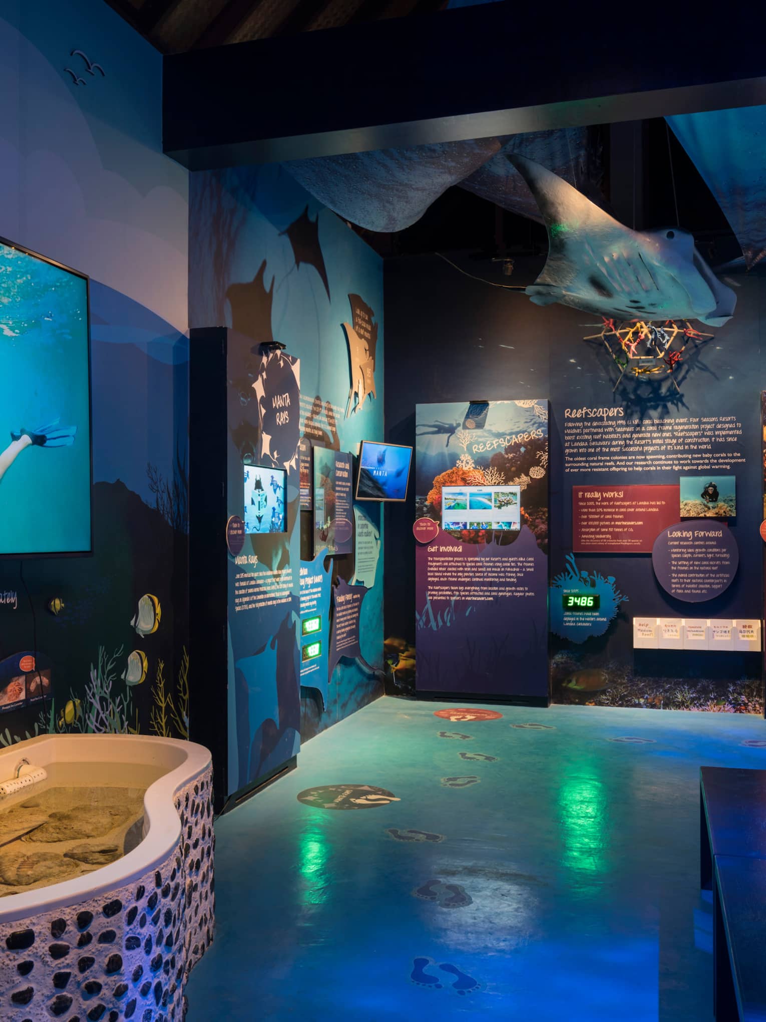 Marine Discovery Centre blue screen with manta ray over display, exhibit