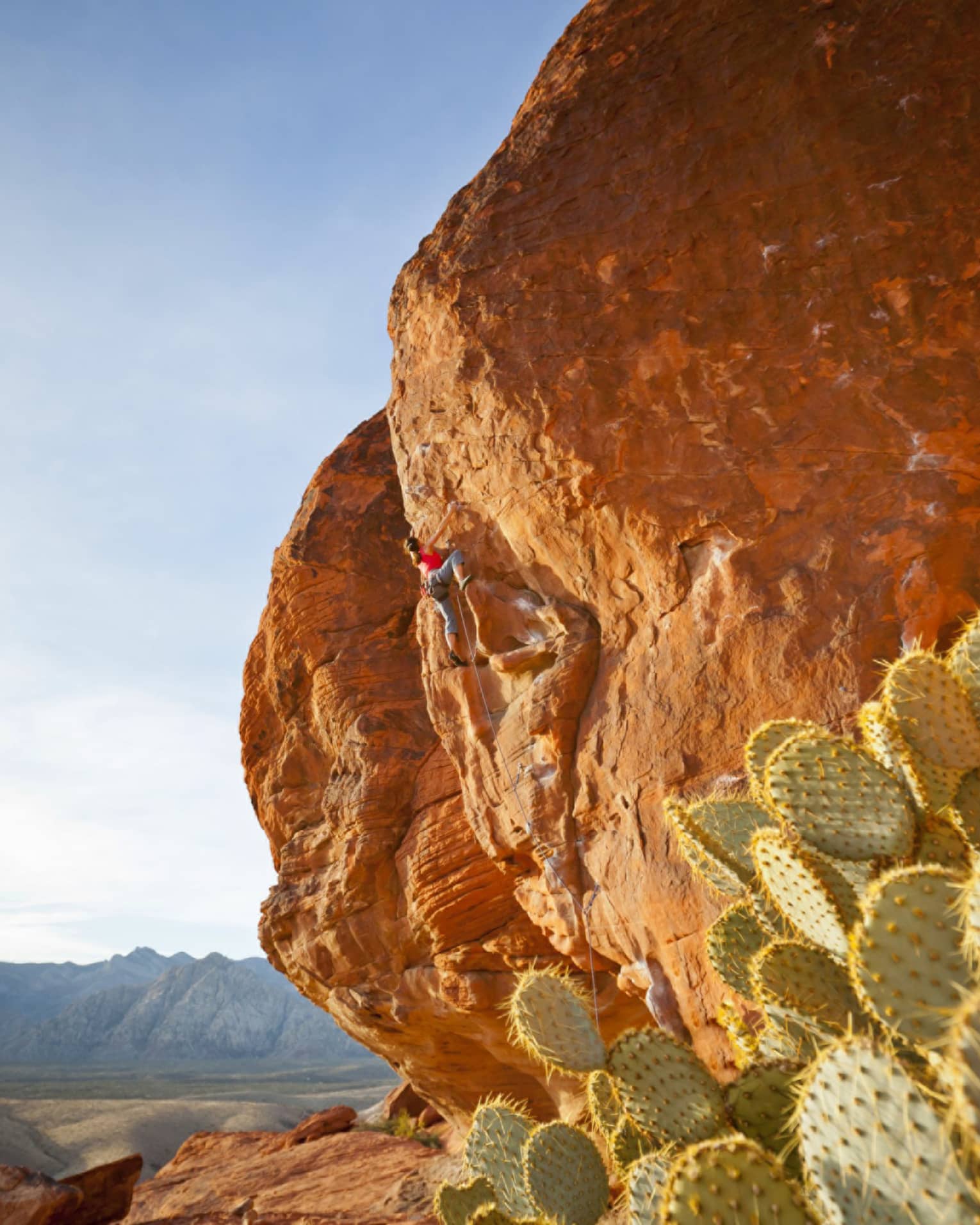 Red Rock Canyon cliff, cactus against blue sky