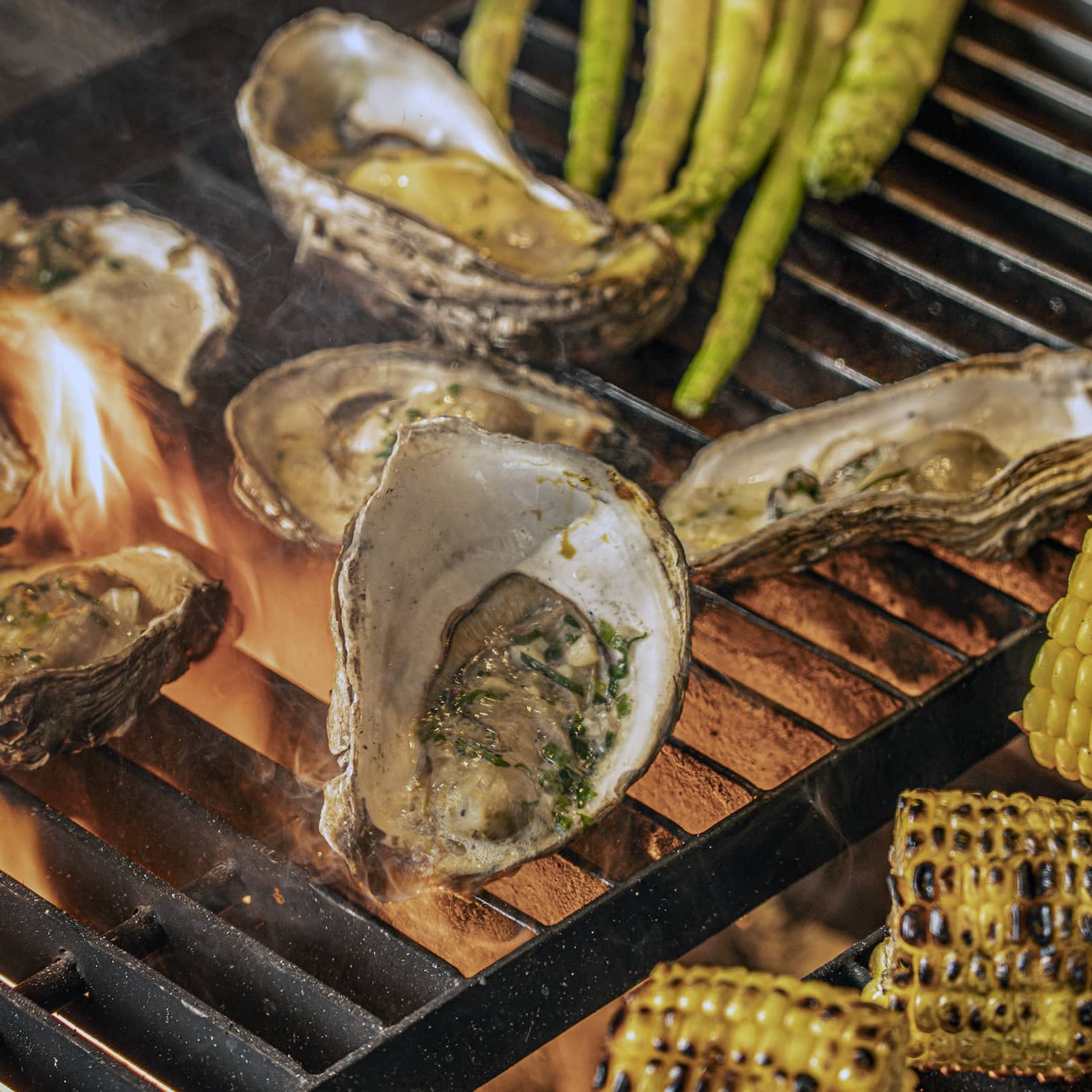Oysters on the half shell, halved ears of charred corn and stalks of asparagus on an open-flame grill
