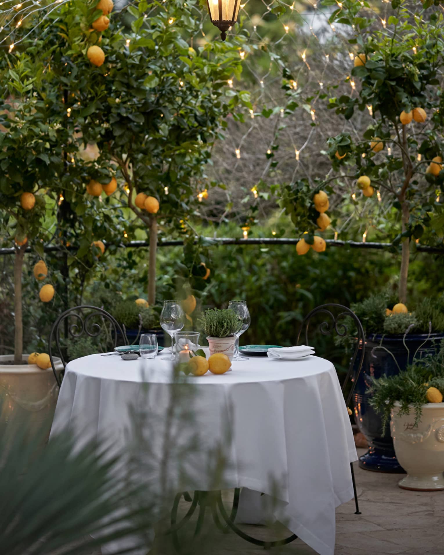 Looking into a secret garden with a table covered in a white cloth placed in the middle of it, orange flowers and green leaves are all around.