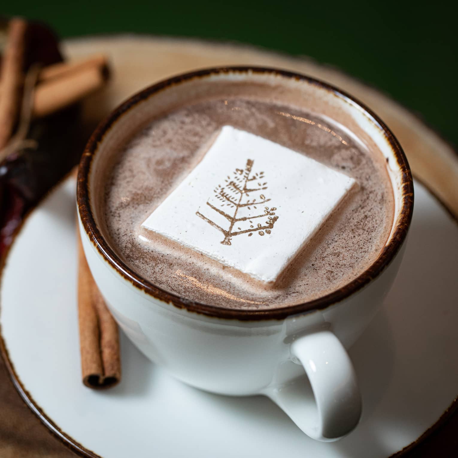 A closeup of a white cup of hot chocolate, a marshmallow with the four seasons logo in the middle of it, cinnamon sticks, dark chocolate chunks and a red chili garnished on the matching white saucer