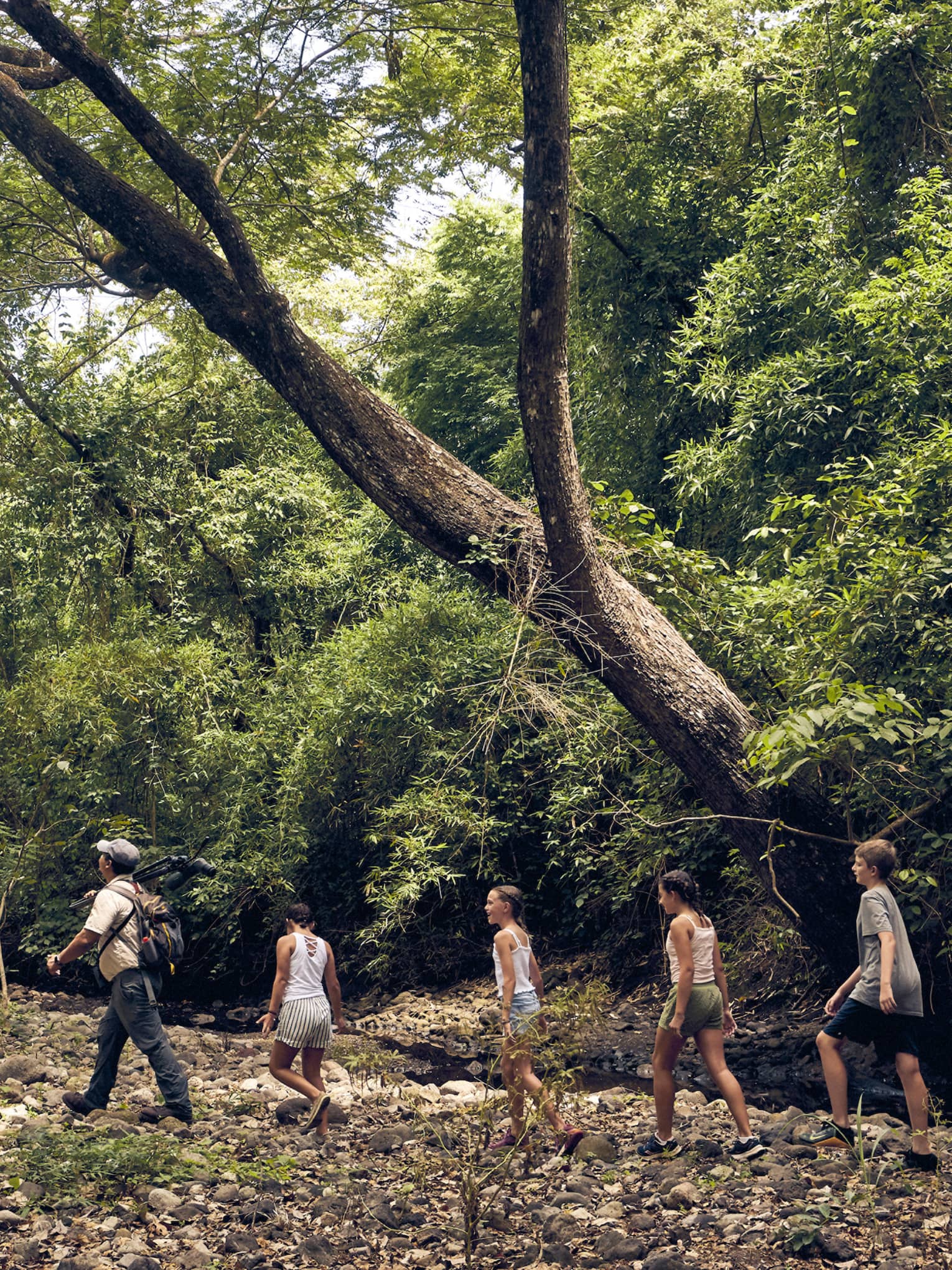A group of people hiking through a forest.