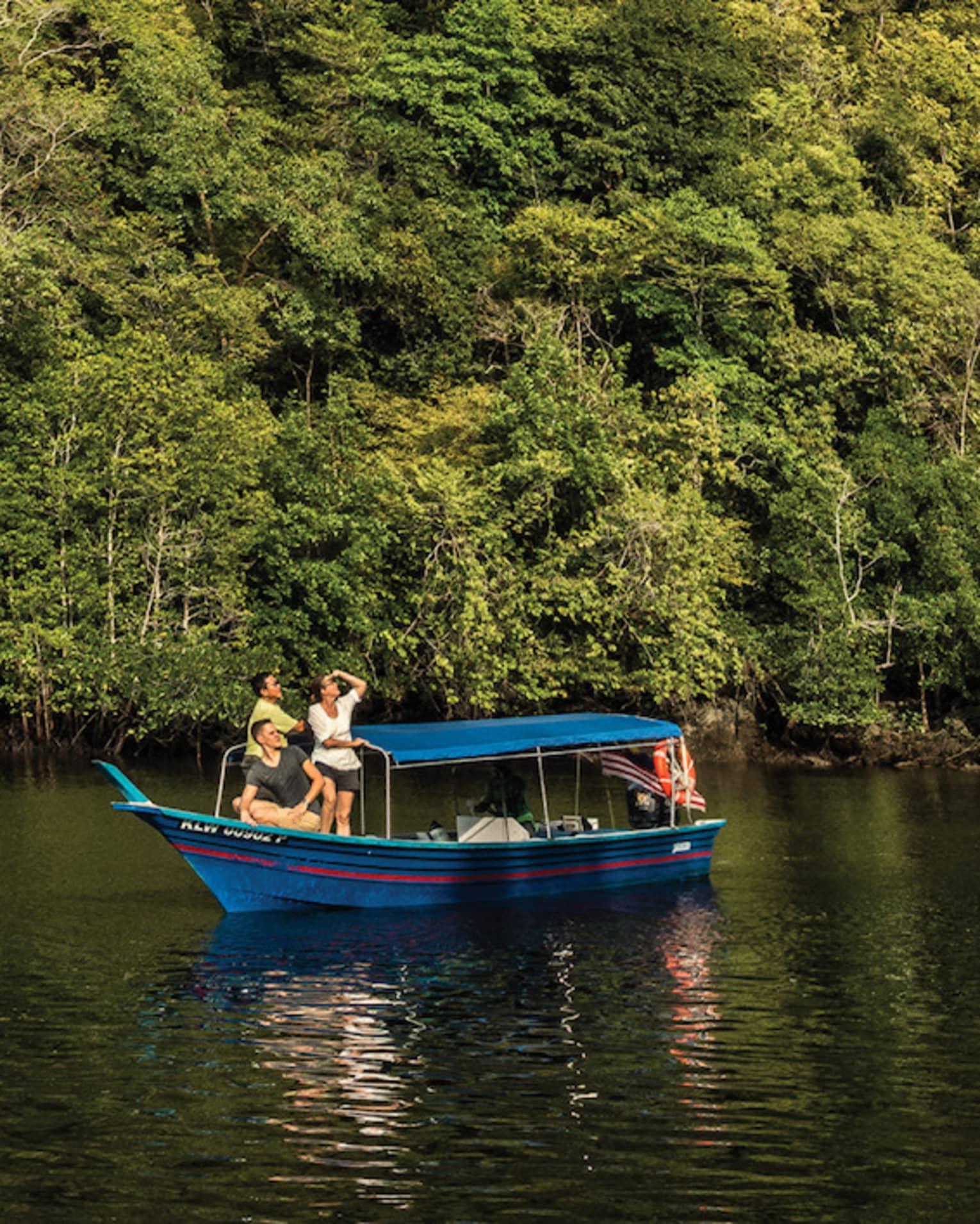 A majestic mountain rainforest looms behind tourists in a small, canopied riverboat as they watch eagles soaring high above.