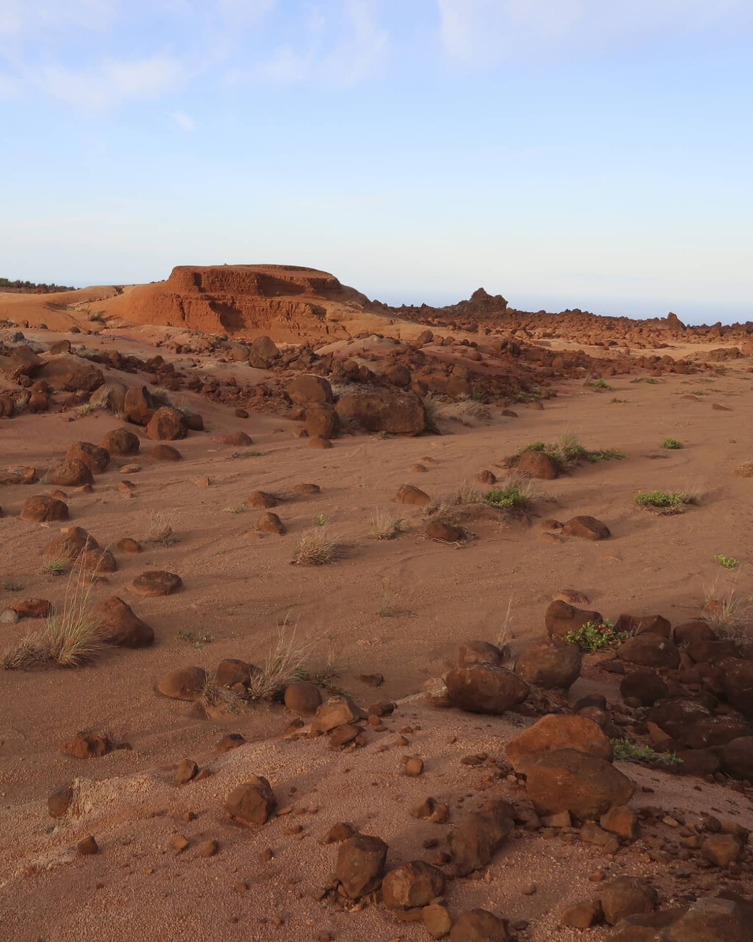 A desert landscape of red boulders, rocks, sand and small rocky hills with the occasional green vegetation growing.