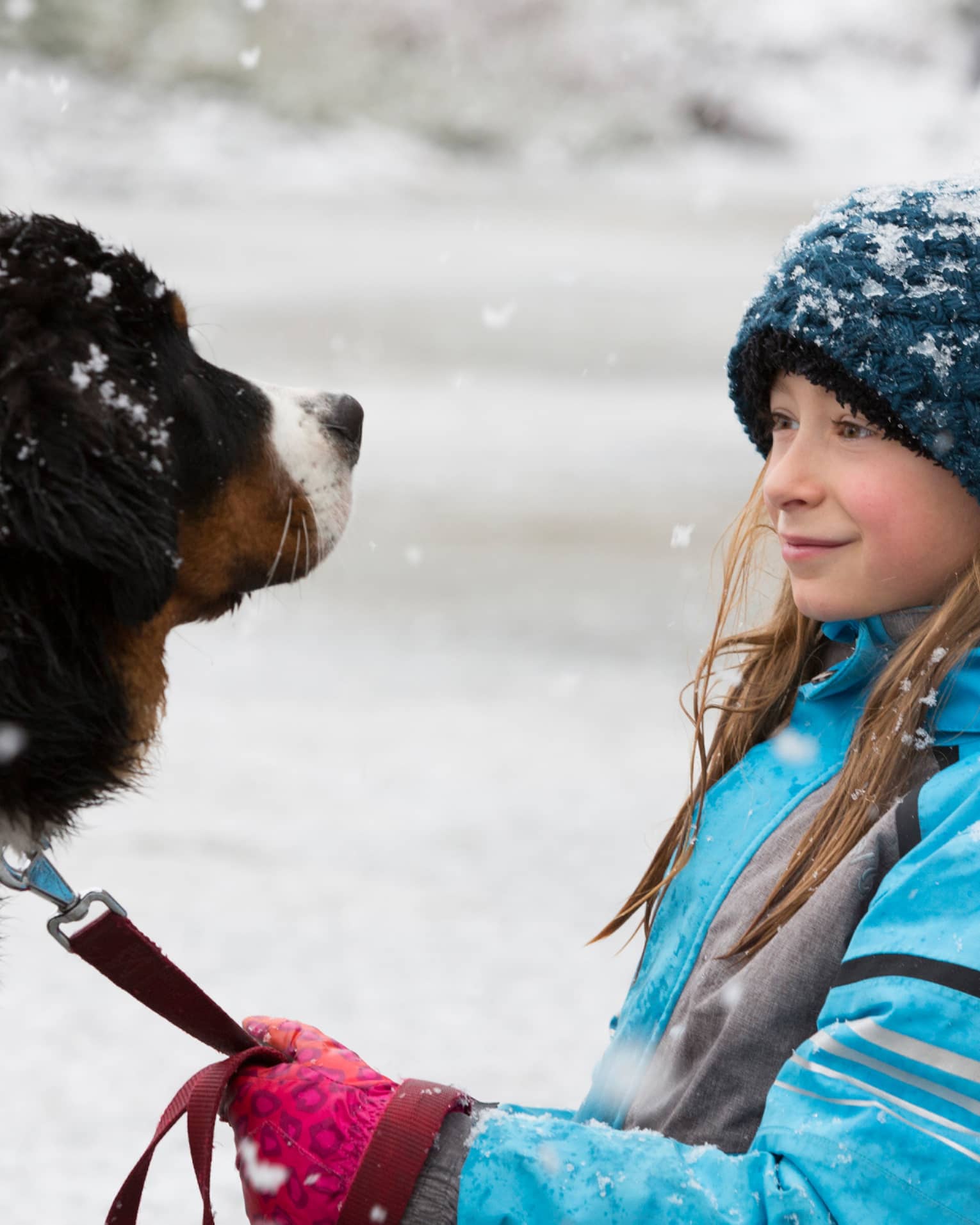 Young girl with knit hat holds leash of large dog as snow falls