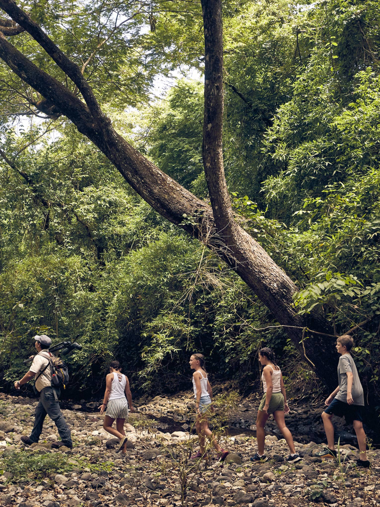 A group of people hiking through a forest.