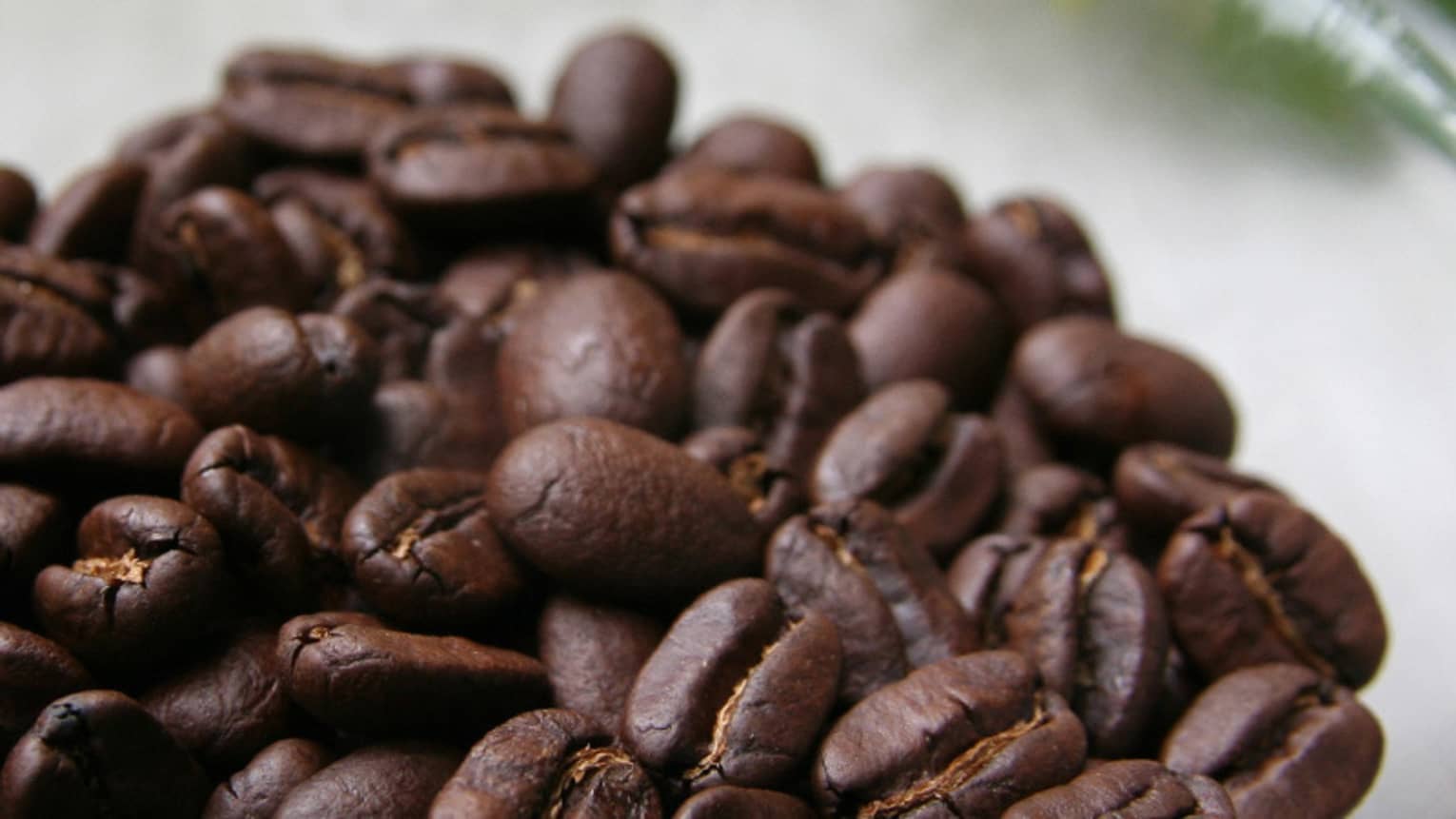 Close-up of roasted Hawaii Island Coffee Farm beans