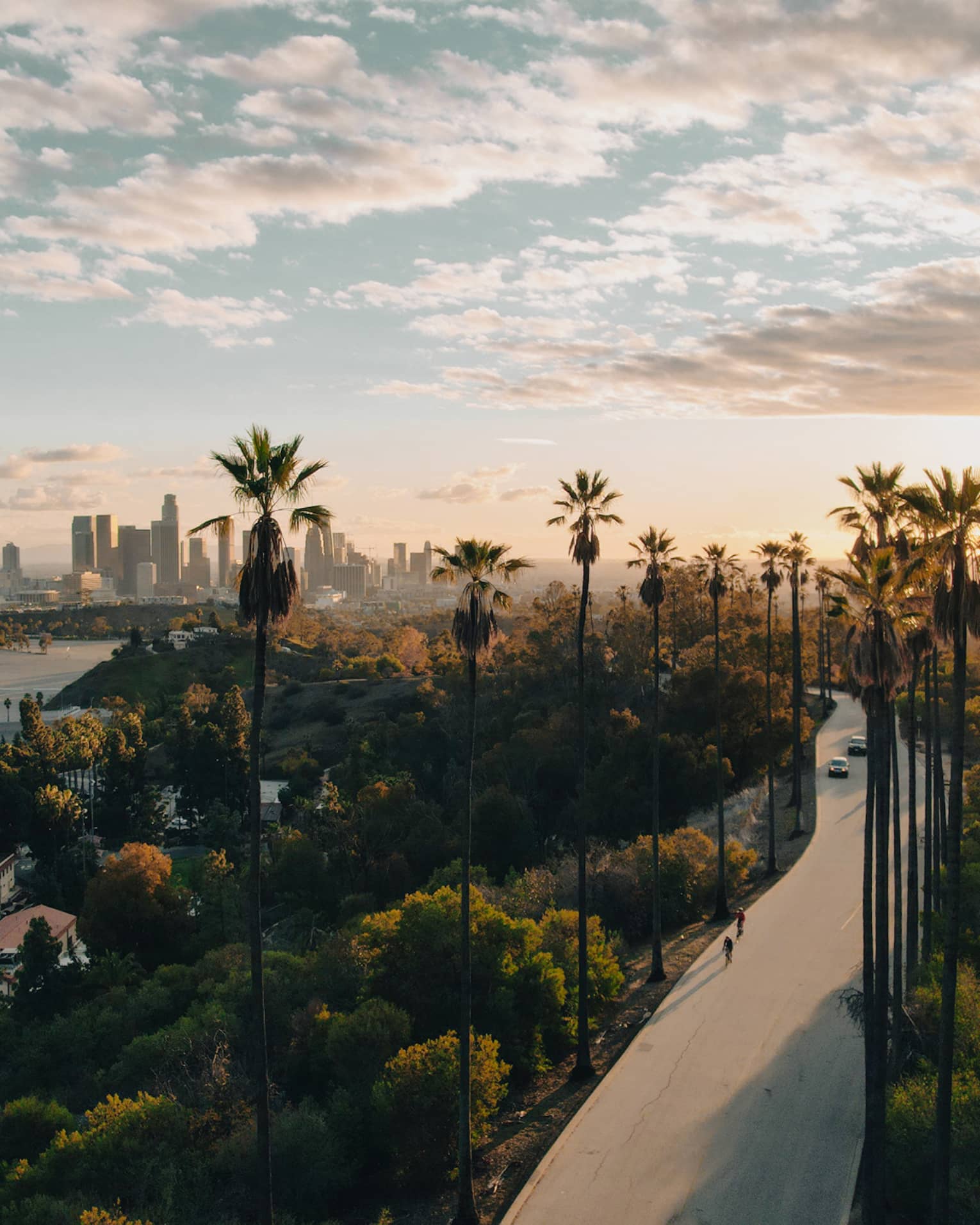 Aerial view of a road surrounded by palm trees and the city skyline