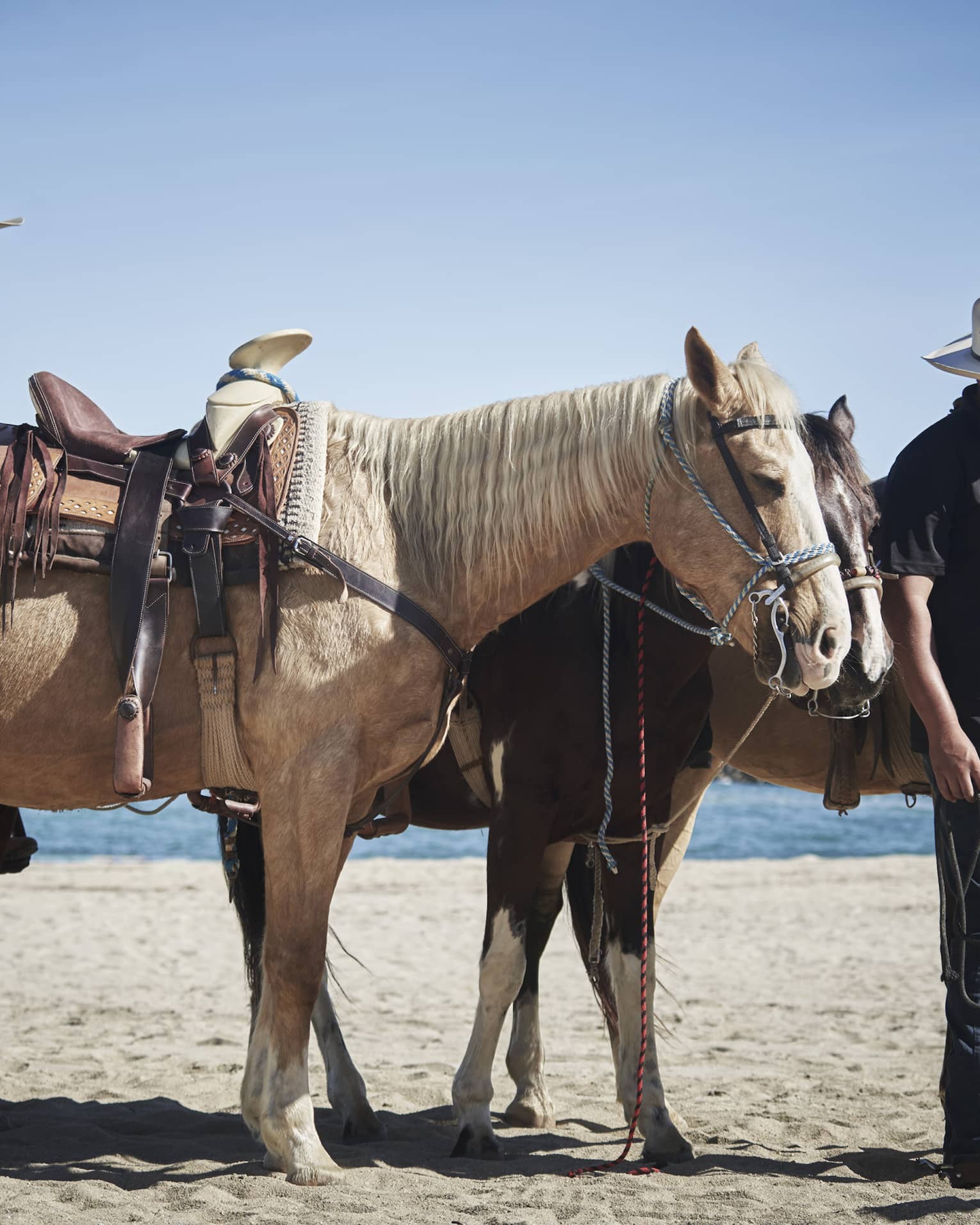Two horsemen donning white cowboy hats lead a group of brown and white horses along a sandy beach under a clear blue sky.