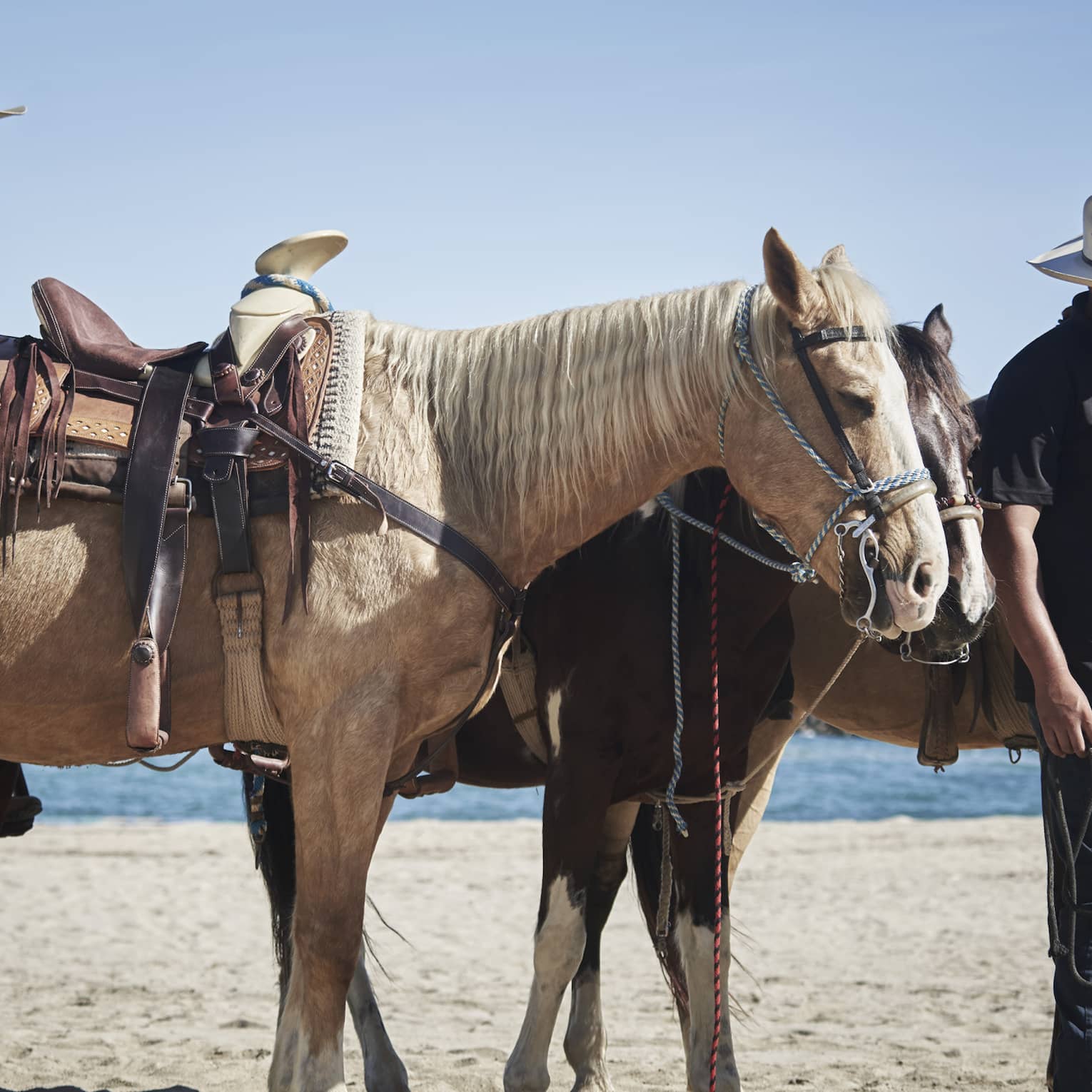 Two horsemen donning white cowboy hats lead a group of brown and white horses along a sandy beach under a clear blue sky.
