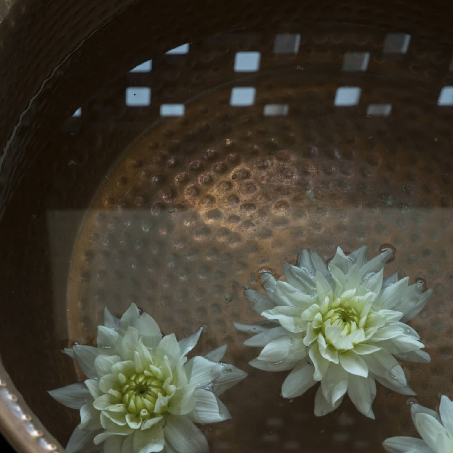 Close-up of fresh white flowers floating in water in copper bowls