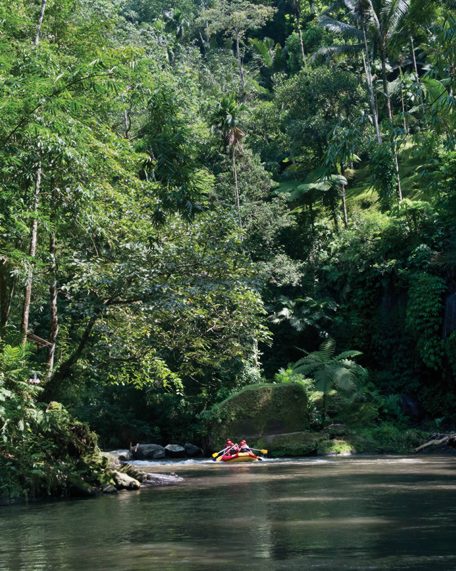 People water rafting along Ayung River beneath trees 