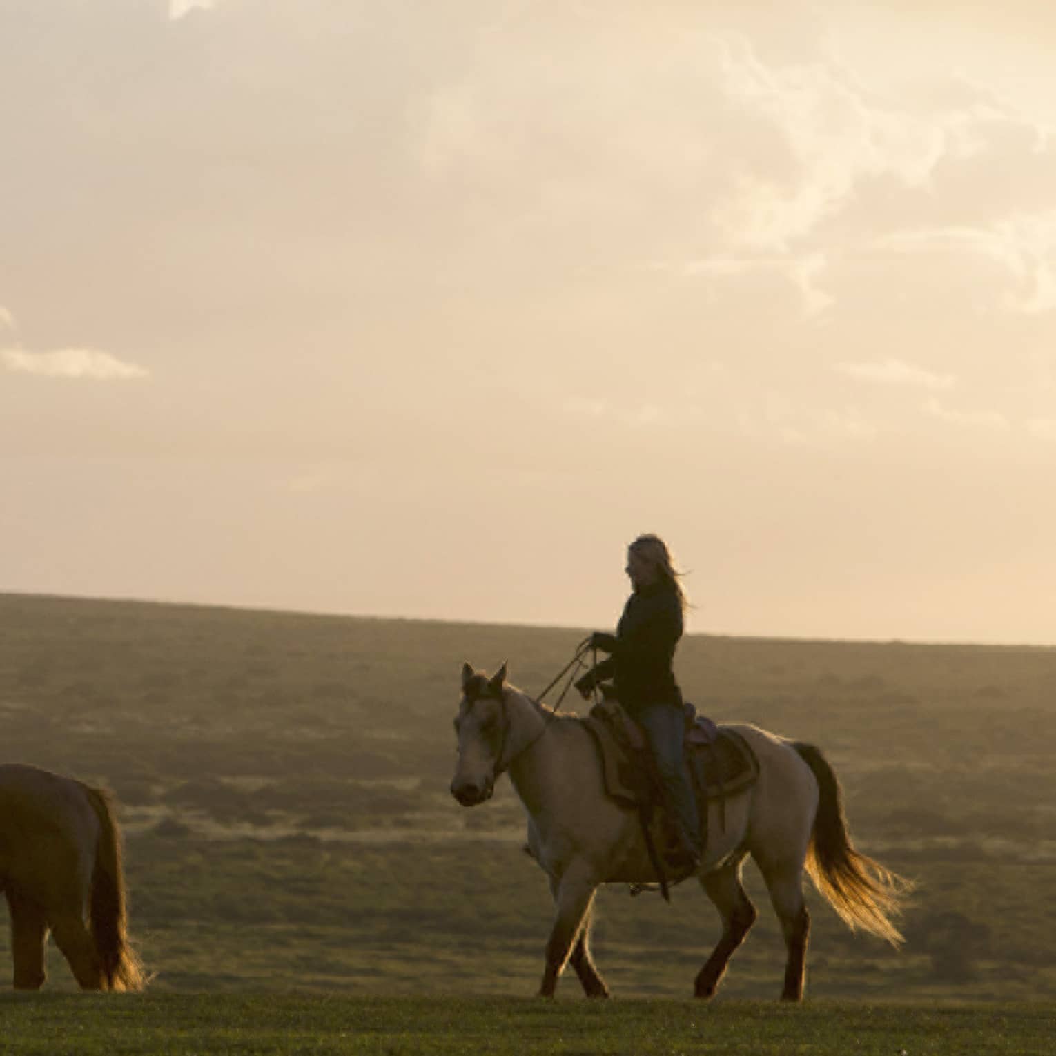 Rider on a horse following two unsaddled horses on a vast low hill silhouetted against a cloudy sky in the glow of sunset.
