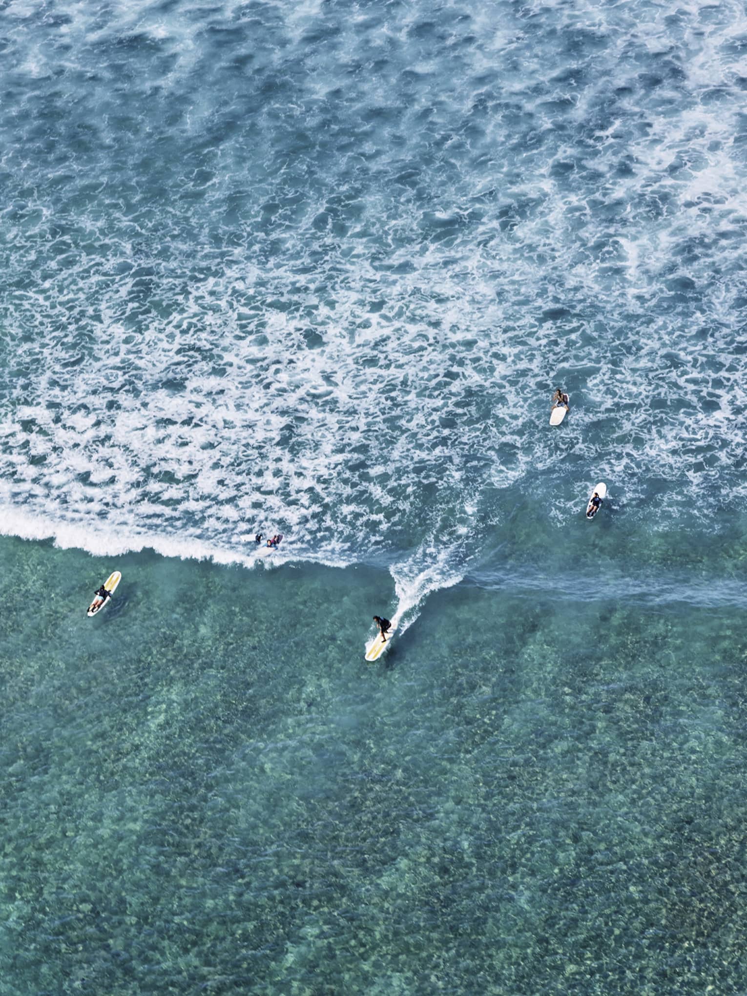 Long aerial view of a group of surfers as they slice through rippling turquoise waters ahead of a vast pattern of whitecaps.