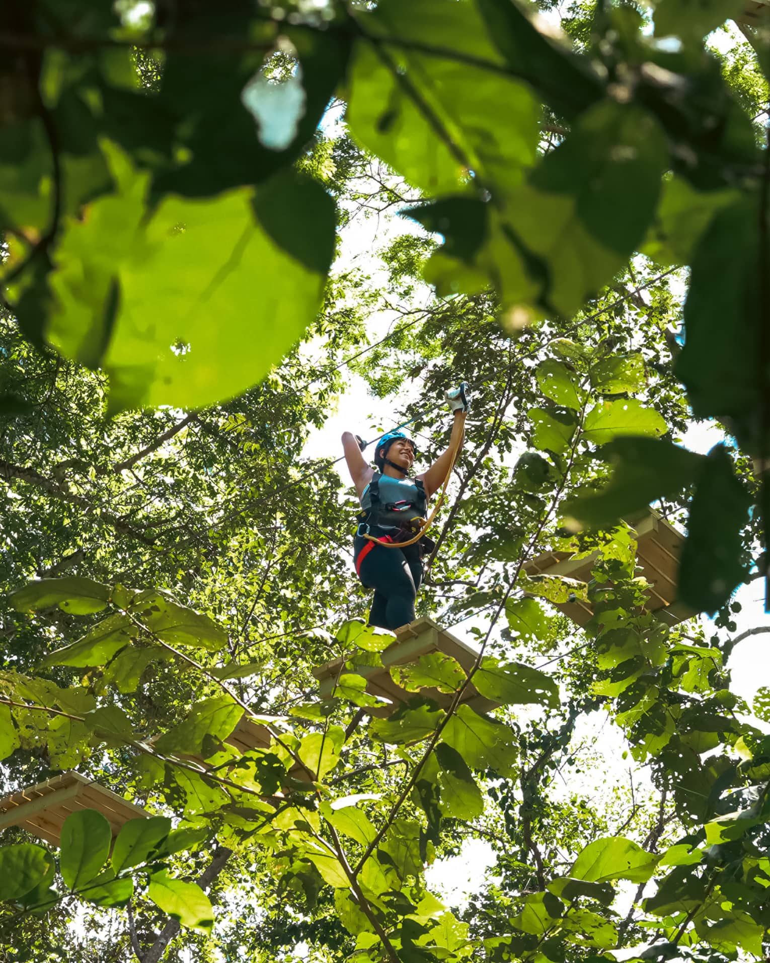 View from beneath of a guest in a helmet and harness carefully crossing a rope bridge through the treetops.