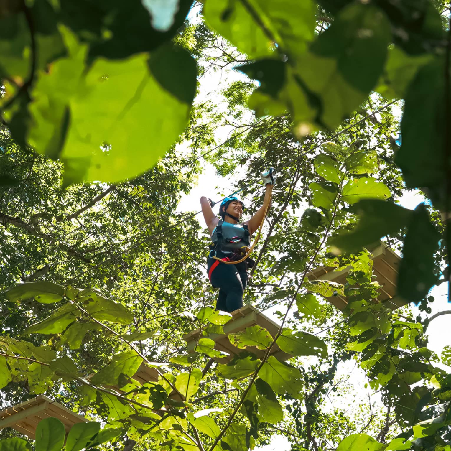 View from beneath of a guest in a helmet and harness carefully crossing a rope bridge through the treetops.
