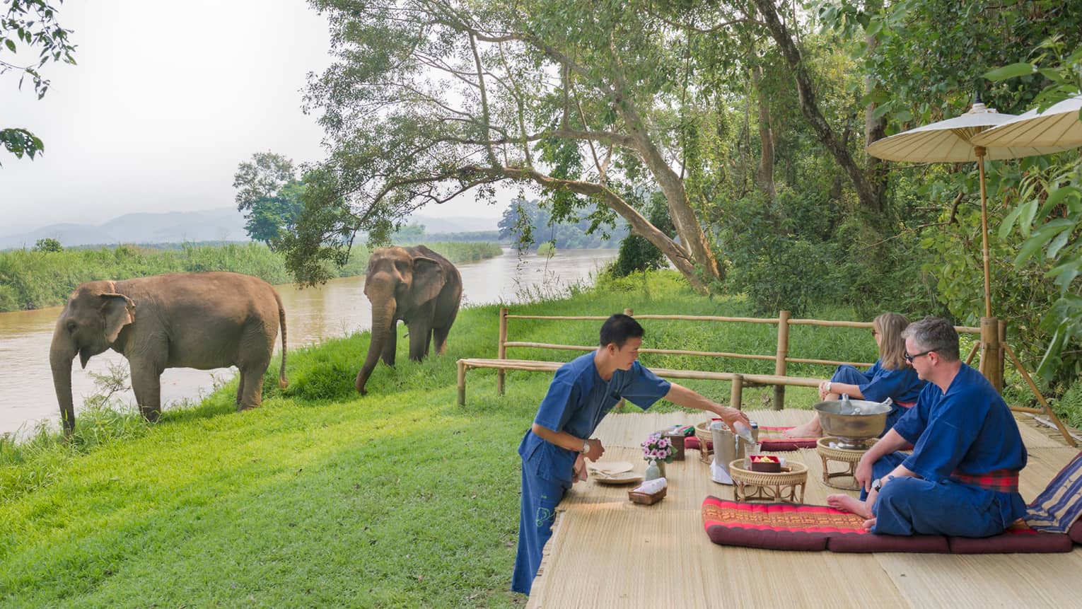 People dining outdoors near a river as elephants walk by in a lush, forested area