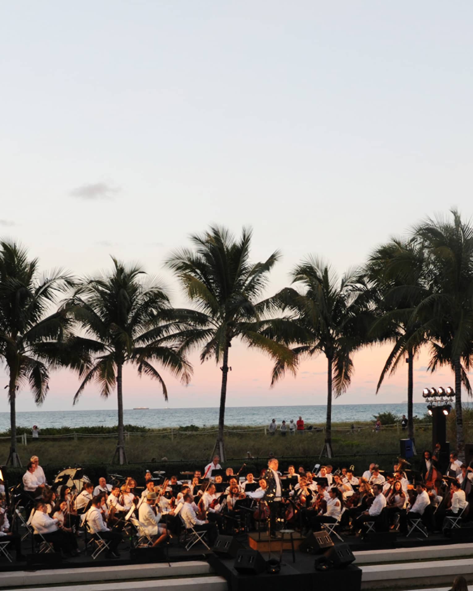 An orchestra playing surrounded by palm trees.