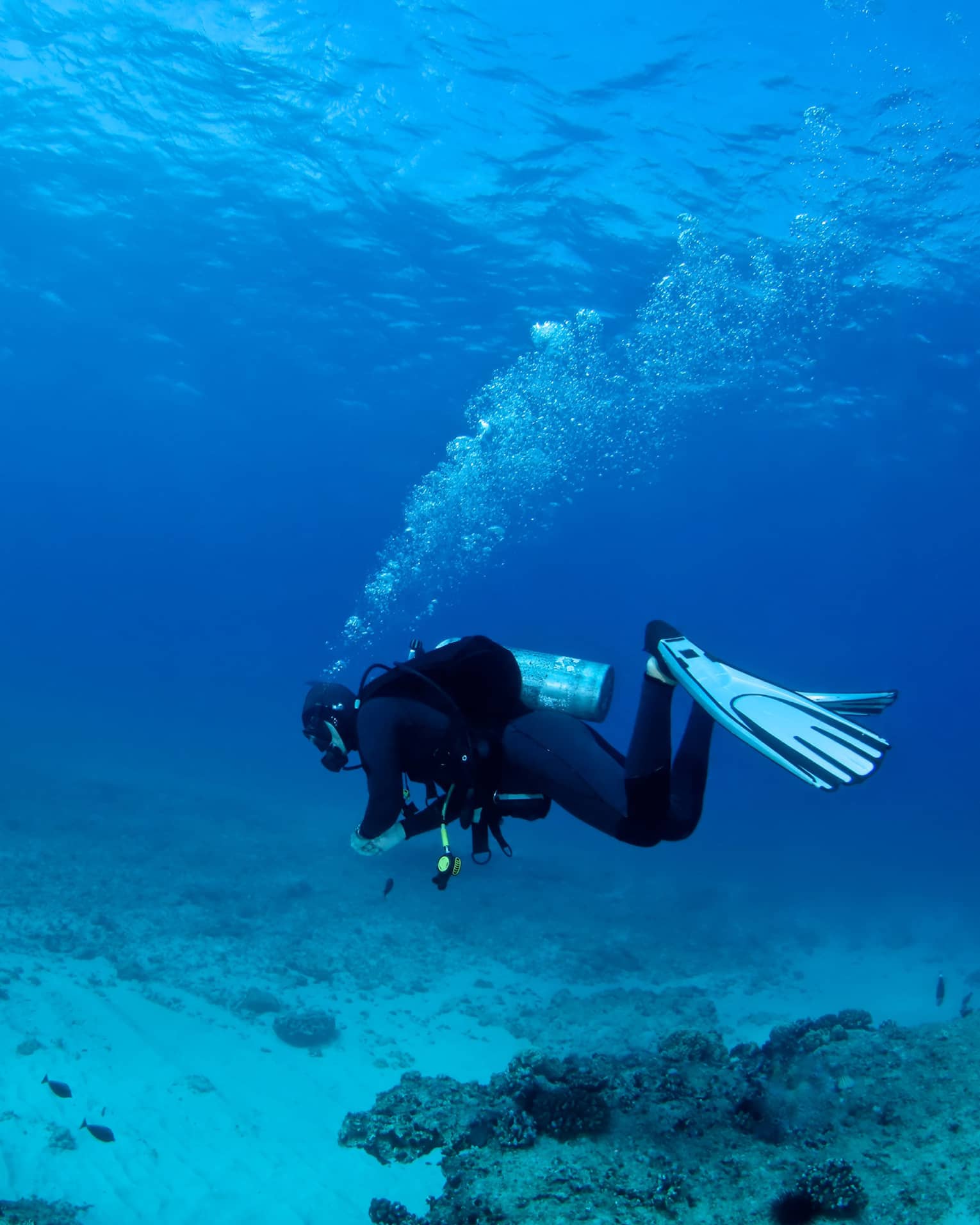 Scuba diver underwater