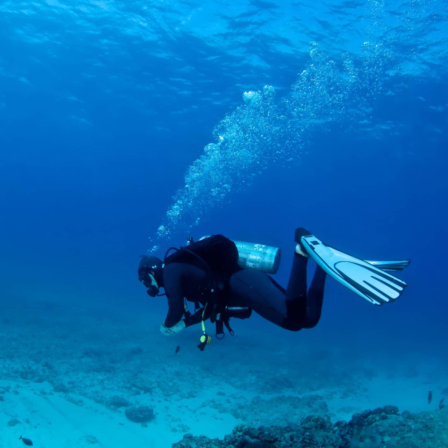 Scuba diver underwater