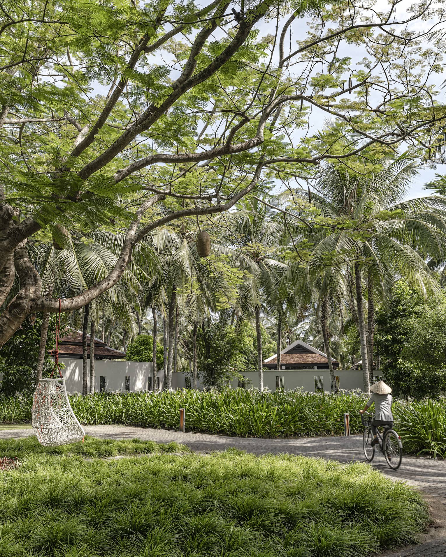 A park with a tree that has a chair and baskets hanging from it, surrounded by other greenery, and a cyclist riding through.