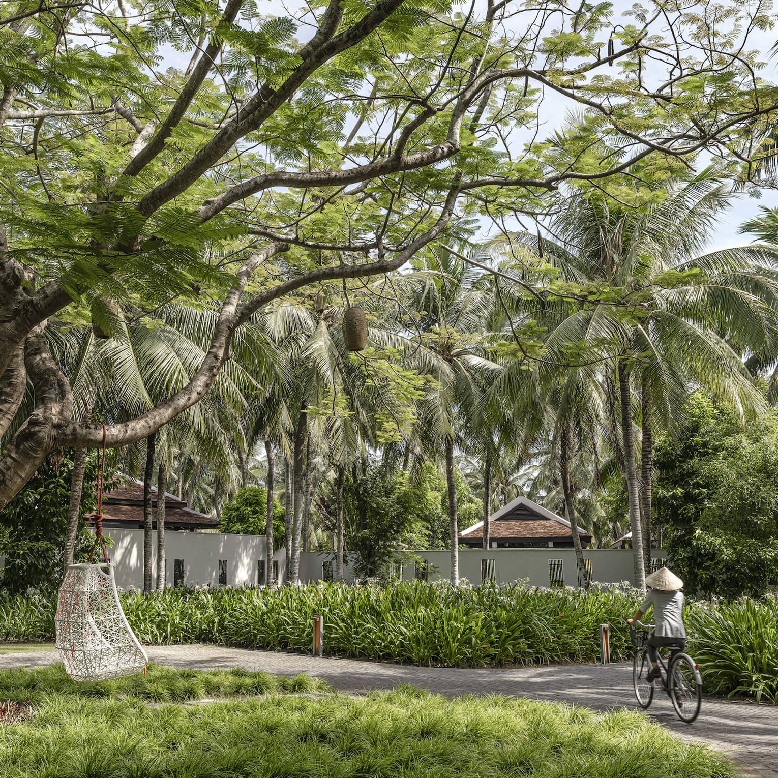 A park with a tree that has a chair and baskets hanging from it, surrounded by other greenery, and a cyclist riding through.