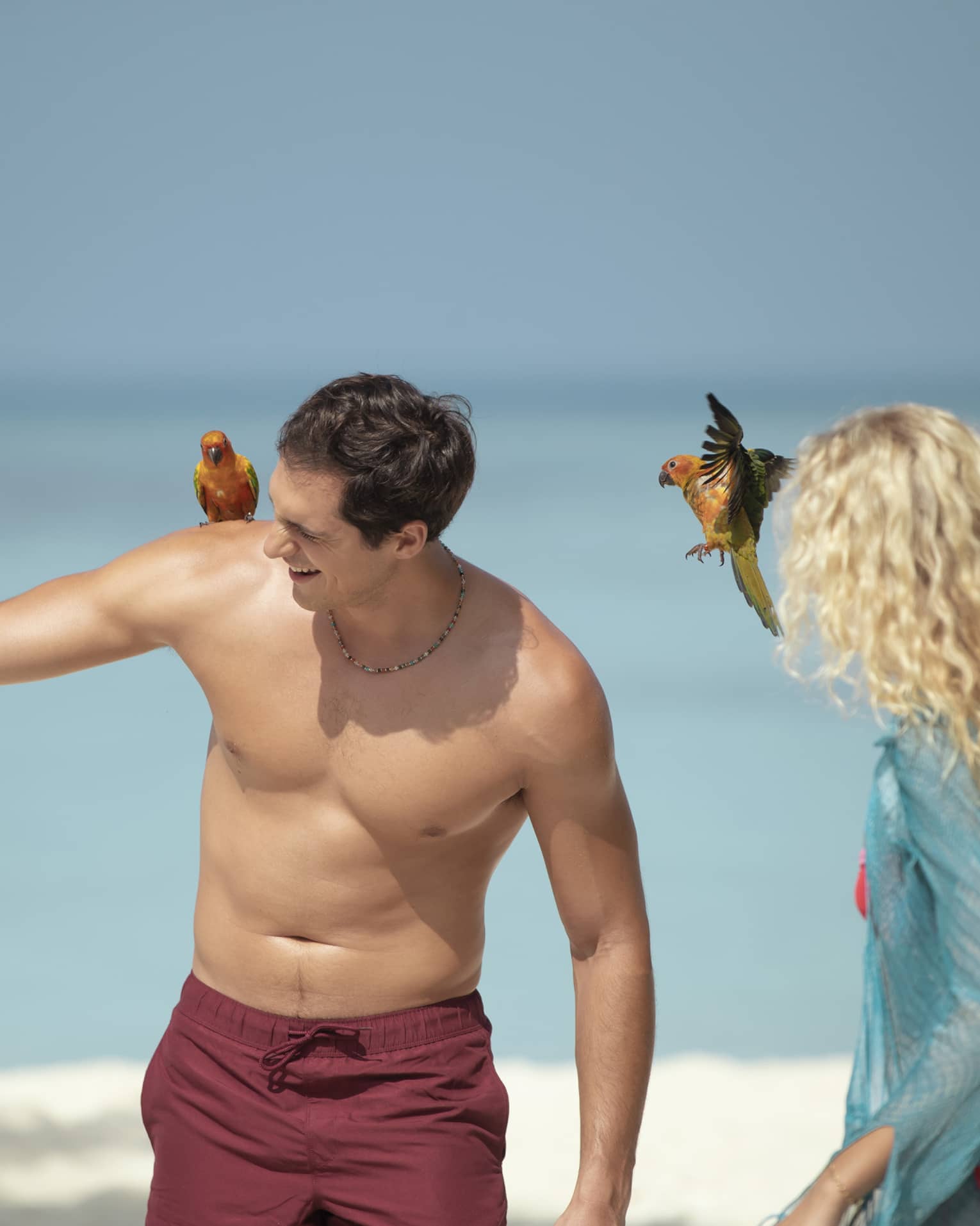 Two people on a beach interacting with colourful birds