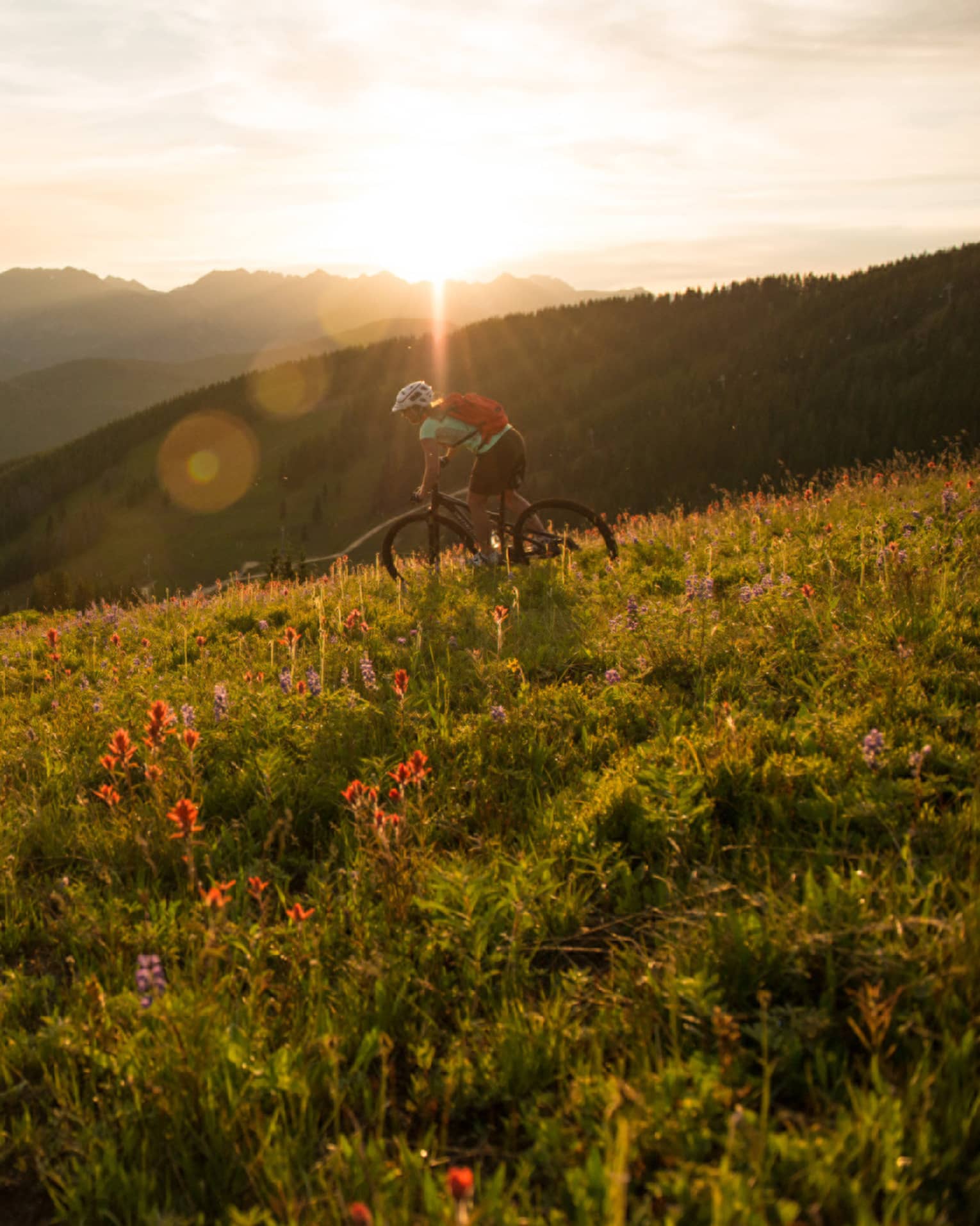 Sun sets over mountain meadow