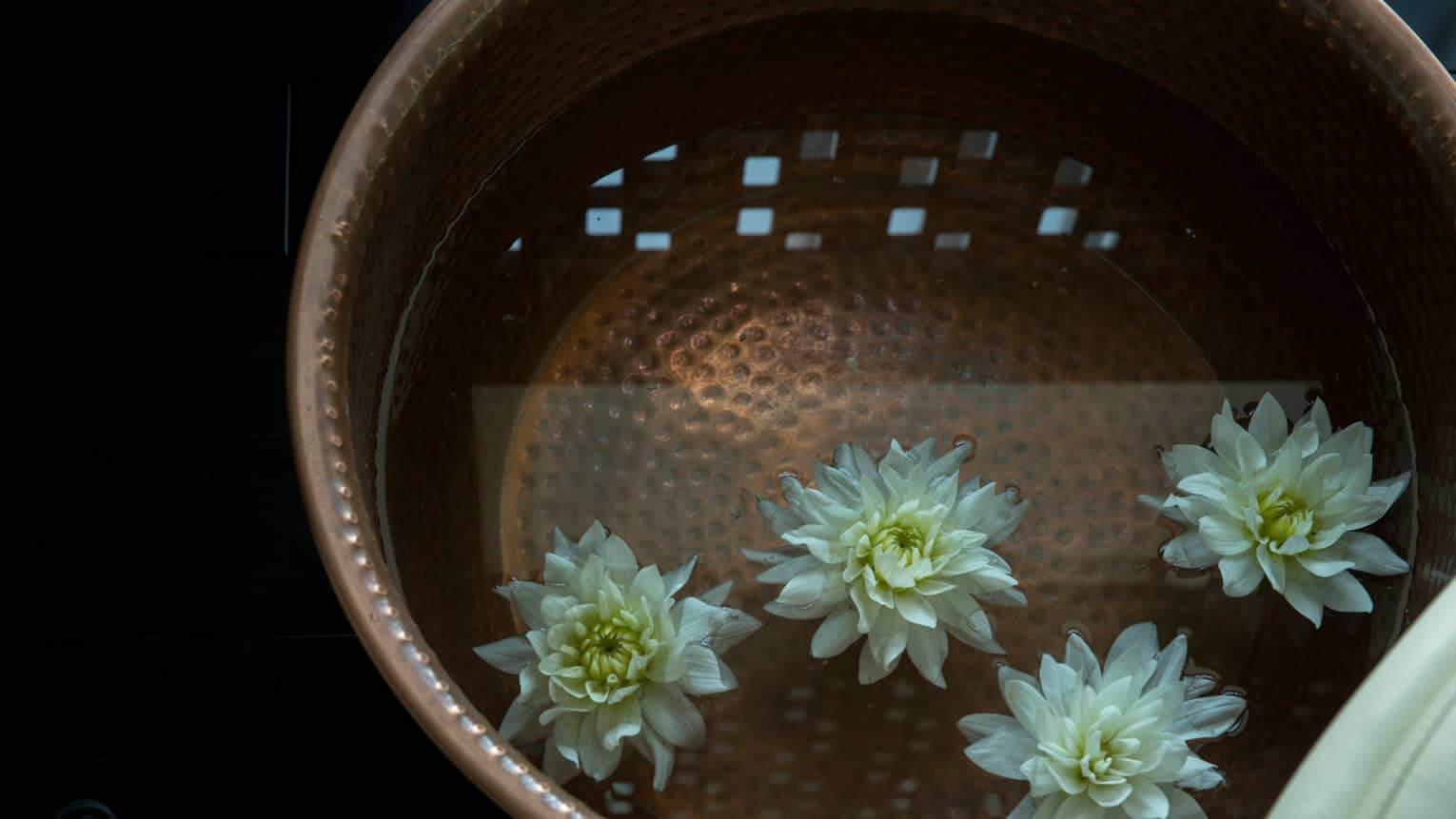 Close-up of fresh white flowers floating in water in copper bowls