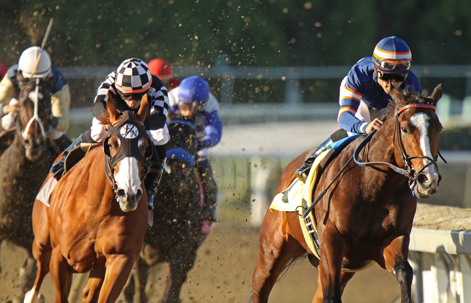 People riding horses in a race.