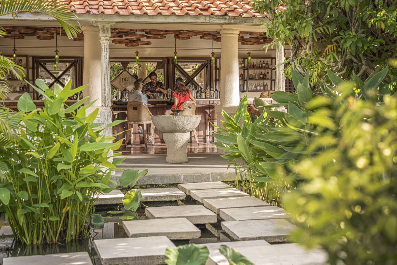 Telu Herbs and Cocktail Garden