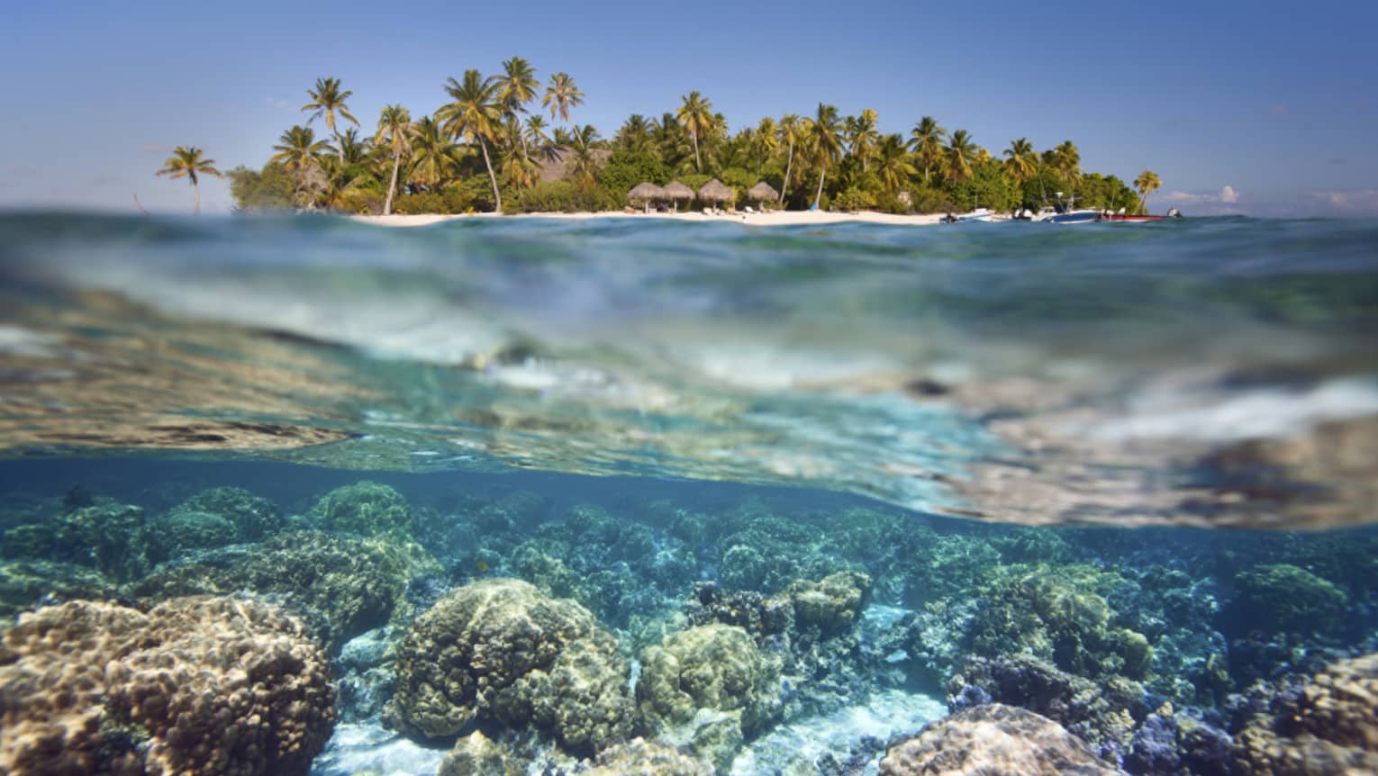 View of resort from half underwater Ruahatu Lagoon island and palms on top and coral reef below