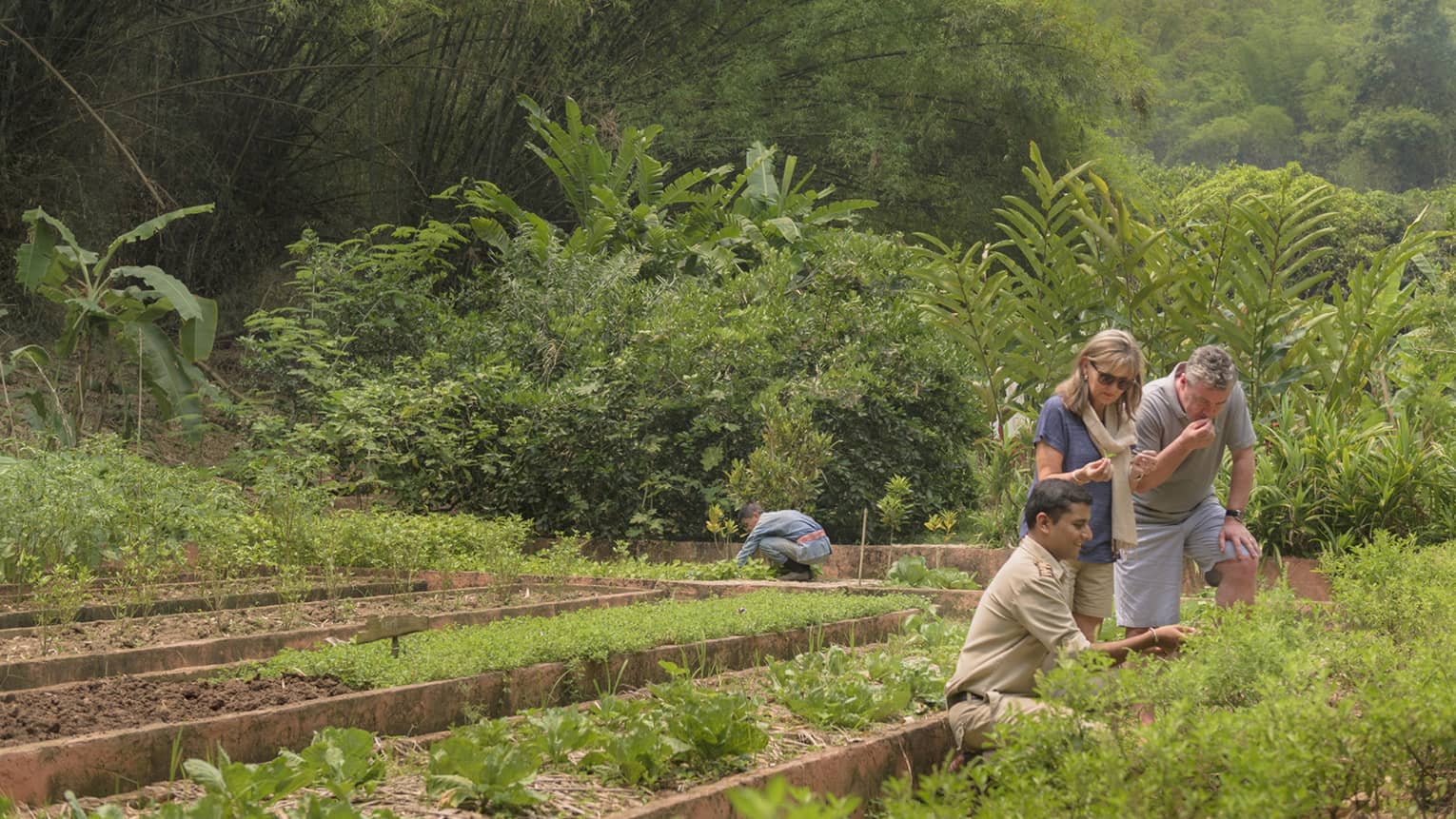 Couple is shown regional herbs, fruits and vegetables by kneeling staff member in lush garden