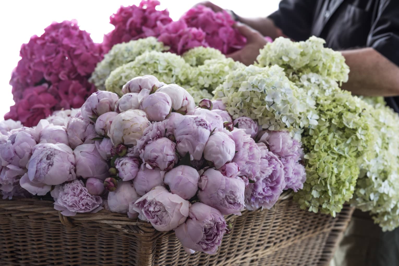 An assortment of light purple, pink and green flowers.
