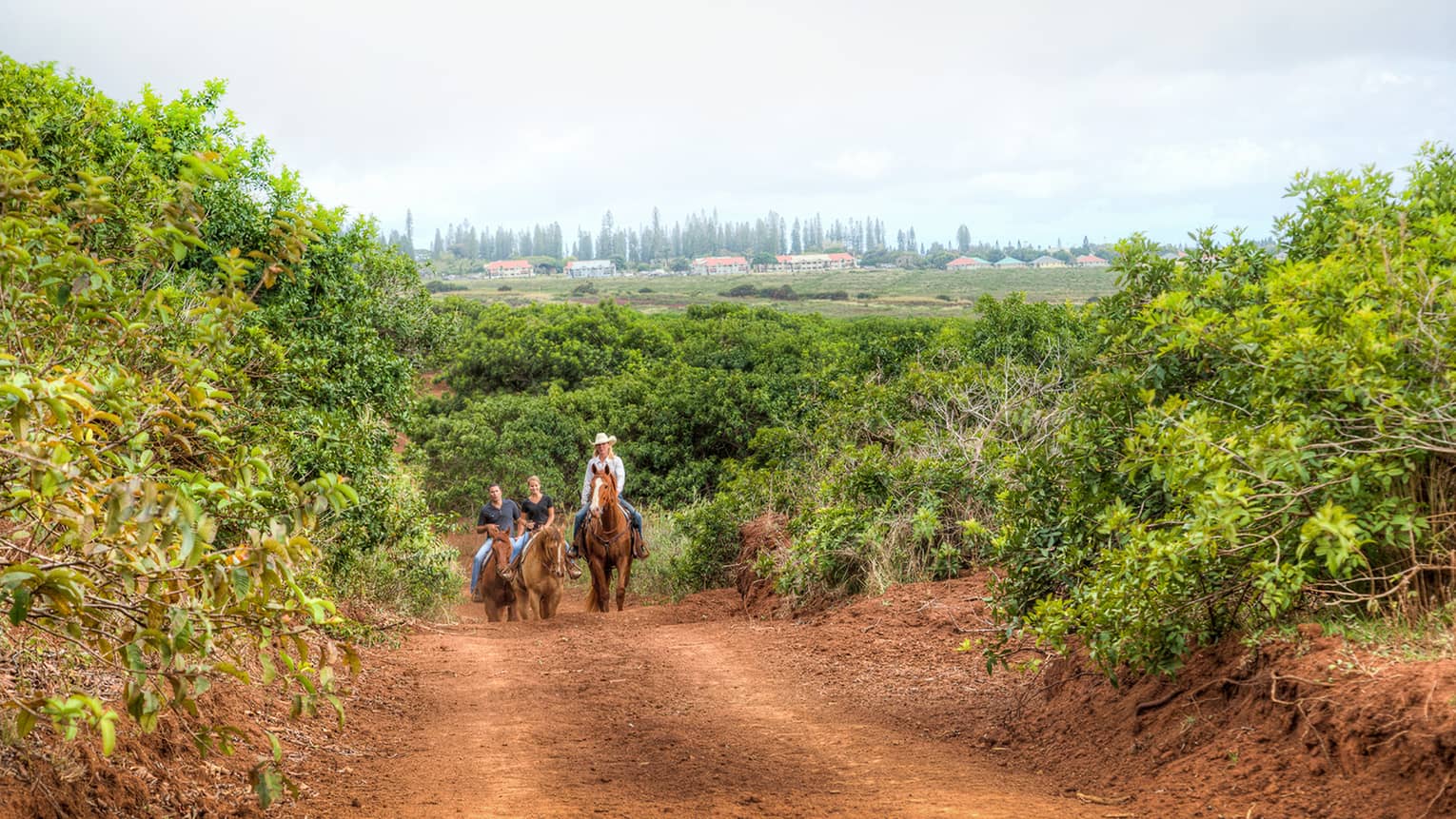 Three people ride horses along dirt trail surrounded by green forest, hills