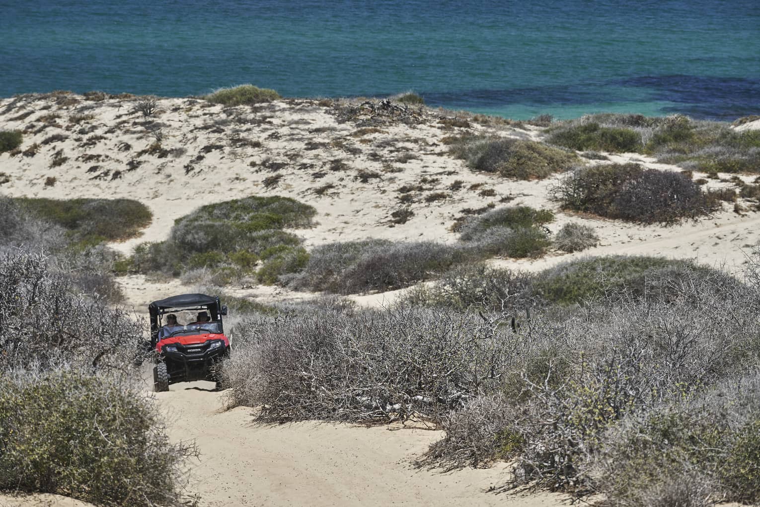 An off-road vehicle navigates a sandy trail surrounded by brush and dunes, with the ocean in the background, capturing the thrill of an off-road adventure.