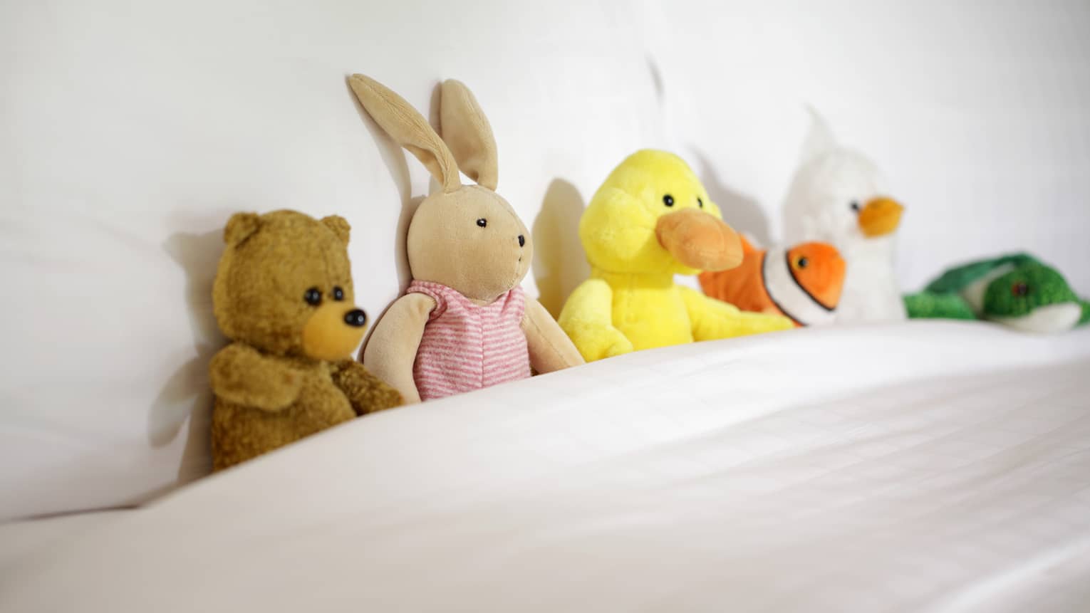 Stuffed bear, bunny and ducks tucked into hotel bed blanket against pillow