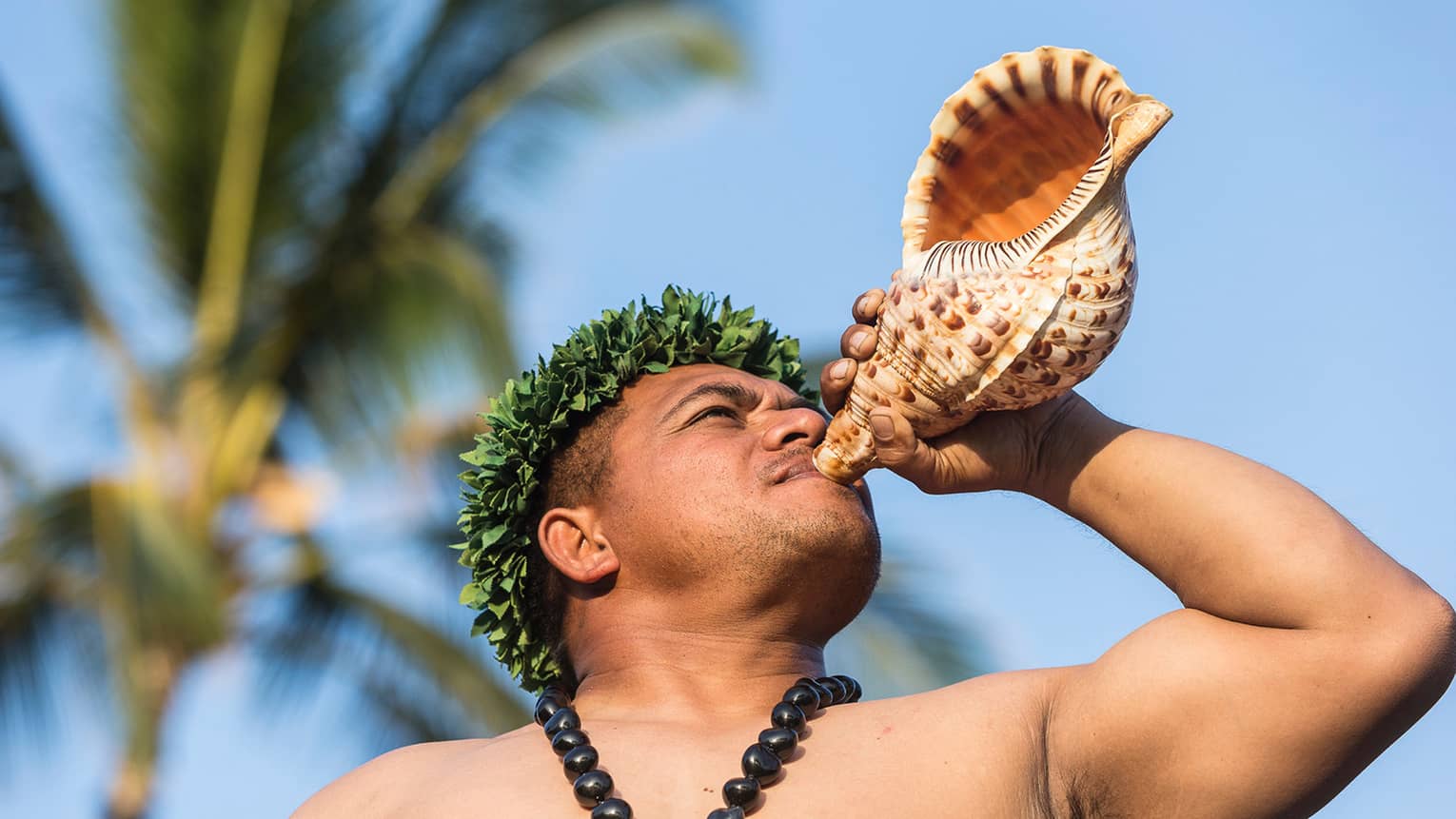 A Native Hawaiian man uses a conch shell to make a morning call