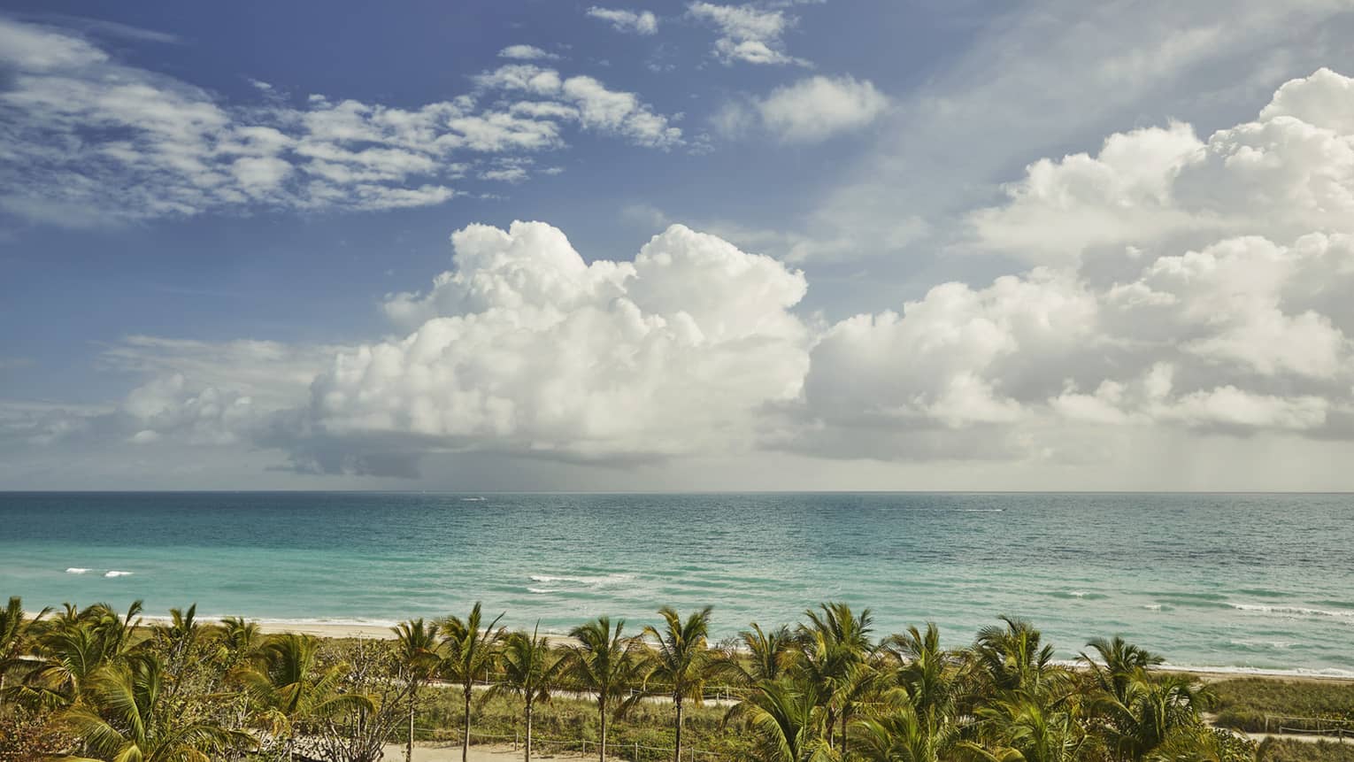 Scenic view of the ocean with palm trees in the foreground, a sandy beach and a partly cloudy sky