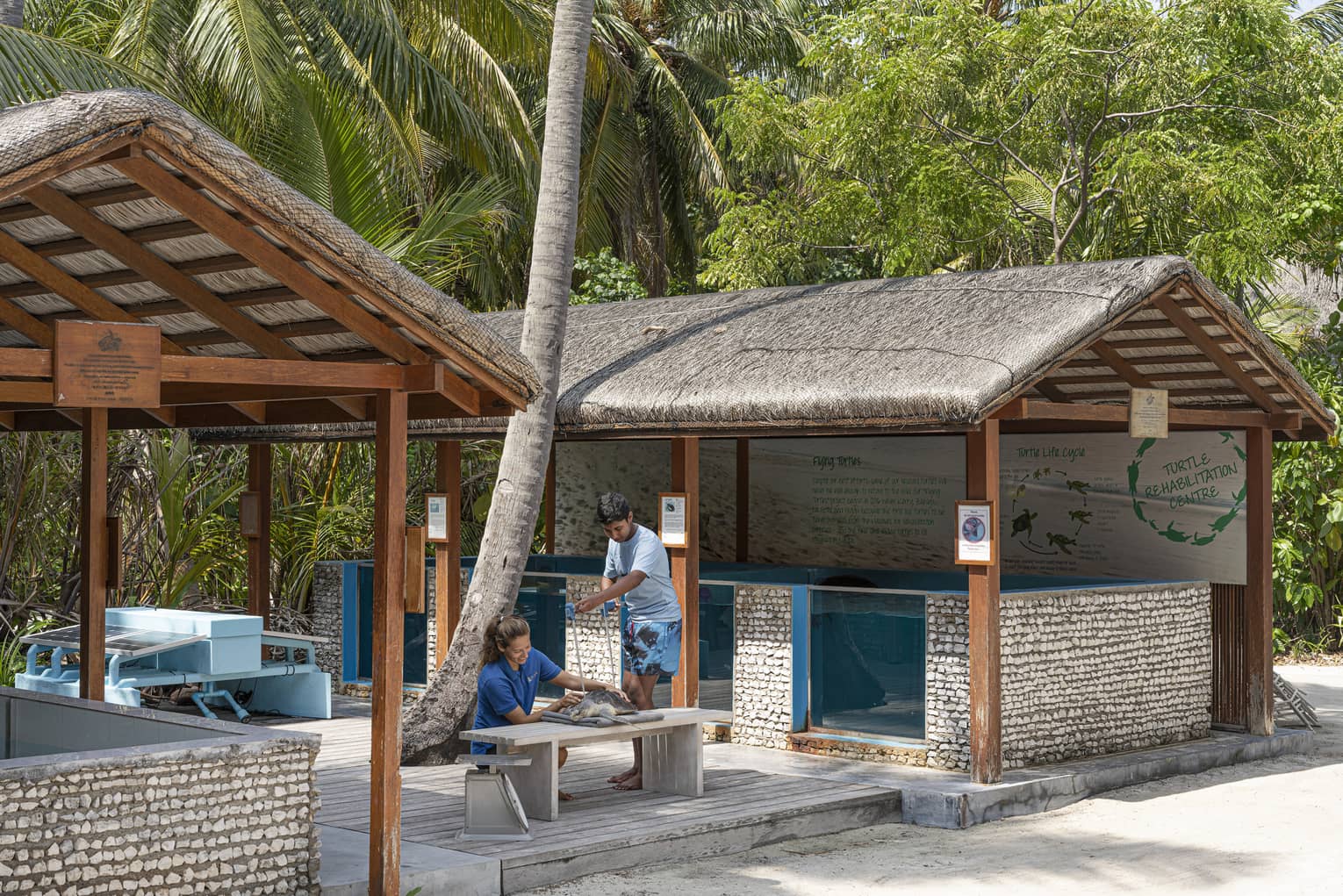 MDC Trainee Marine Biologist