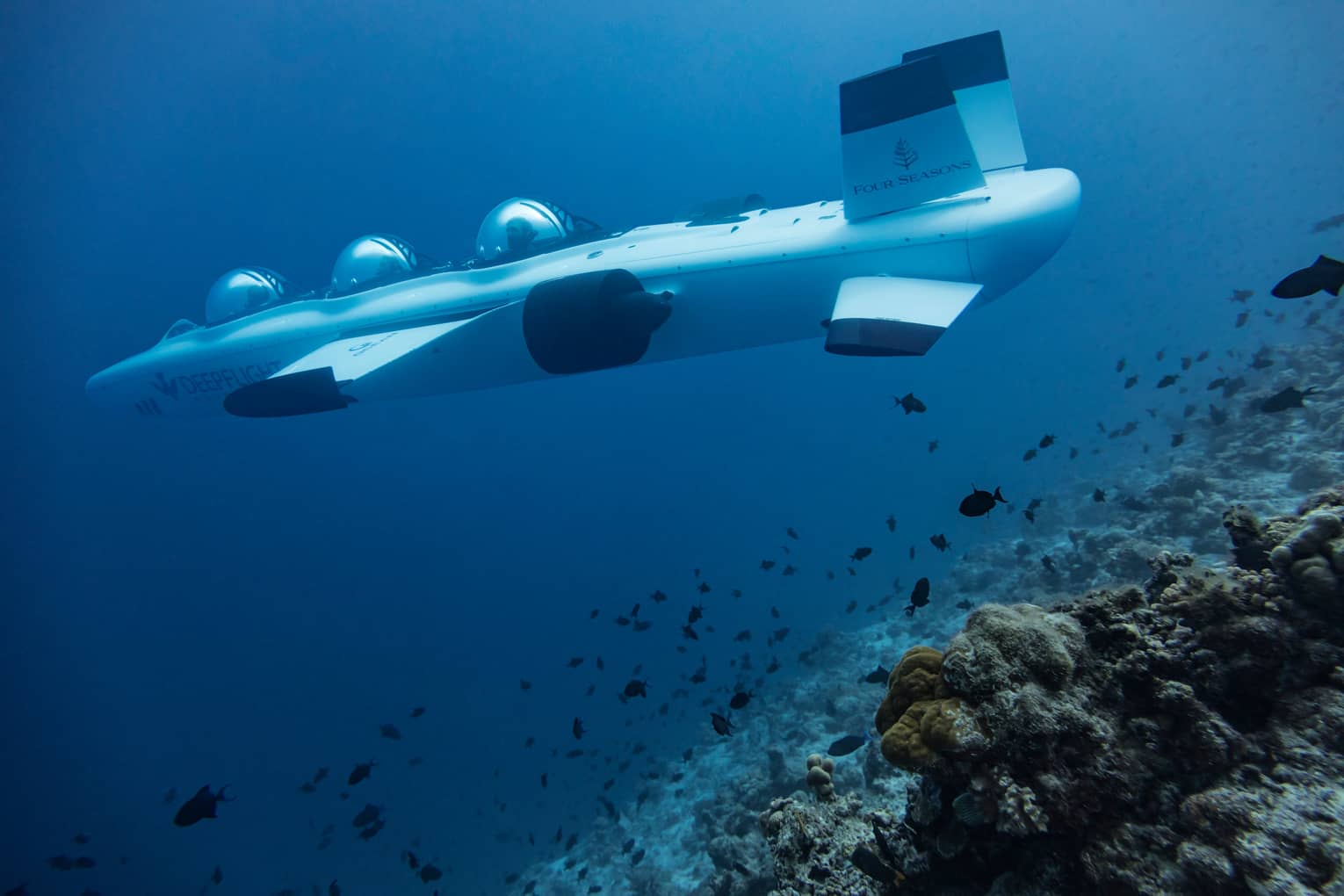 Large white DeepFlight Submarine vessel underwater in lagoon