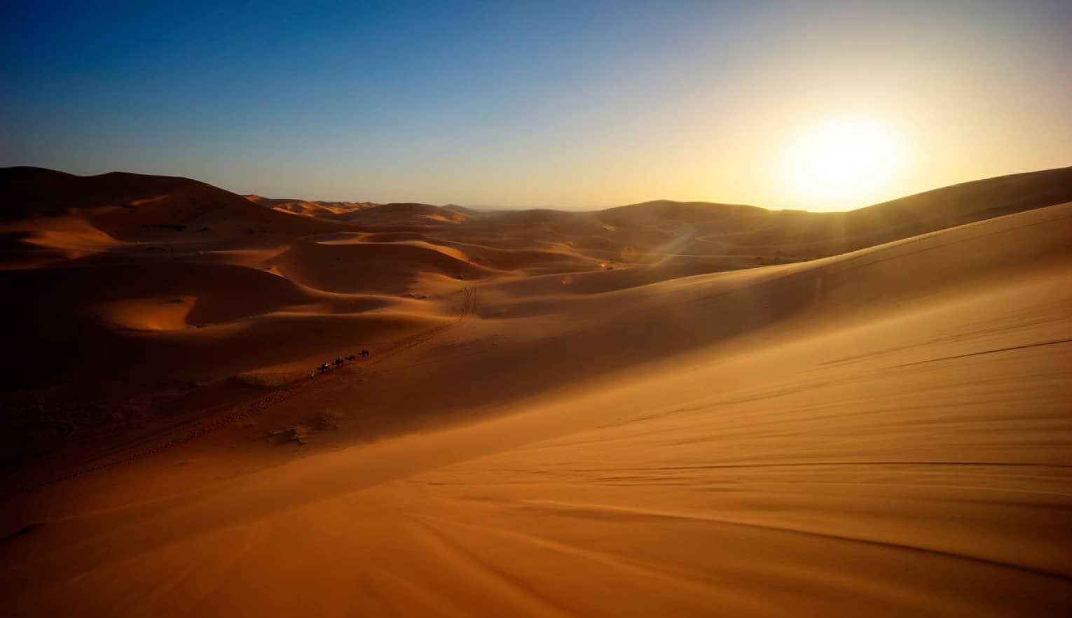 In the far-off distance, a camel caravan crosses a vast expanse of undulating sand dunes under a low-hanging sun. 