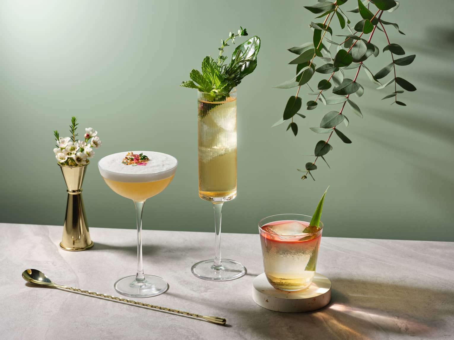 One-Ninety Bar cocktail trio on sage green background with eucalyptus branch