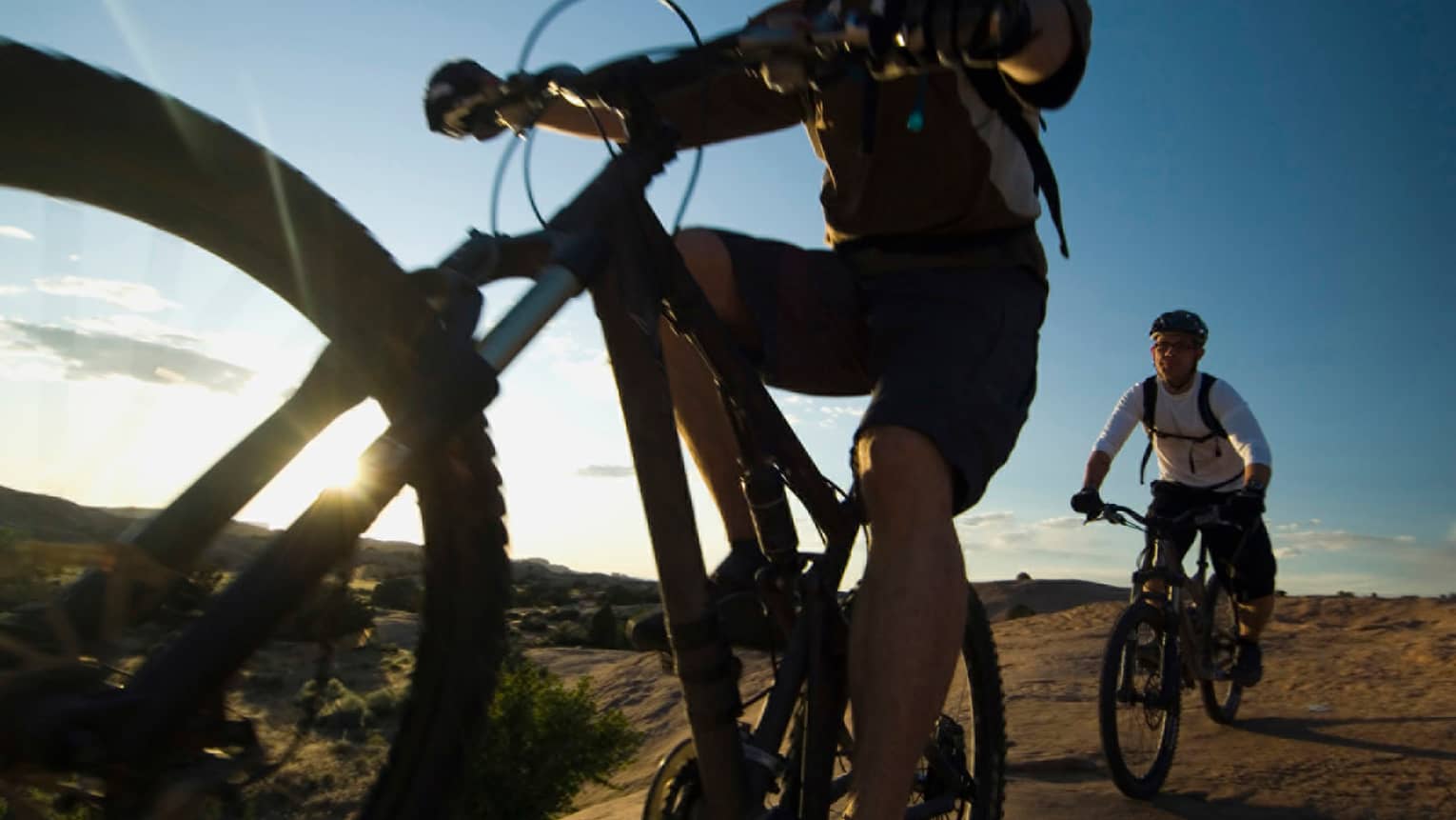 Bicycle sales for four