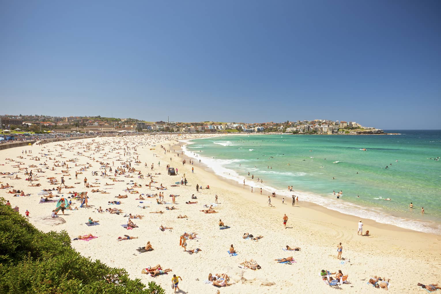 Aerial view of people sunbathing on busy Bondi Beach