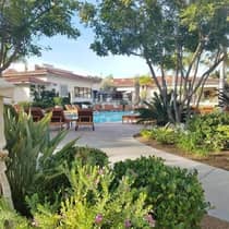Garden path leading to resort swimming pool, deck with lounge chairs, trees overhead 