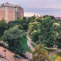 Aerial view over Boston park, trees, building in background